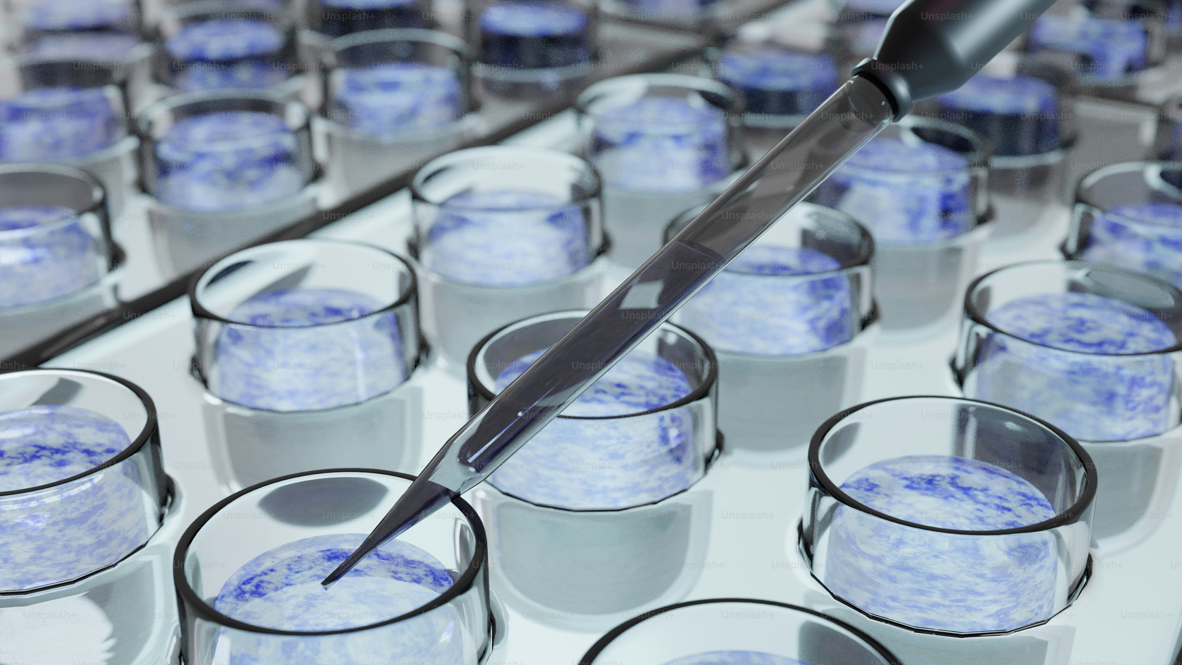 Pipette dispensing liquid into laboratory test tubes photo – Science ...