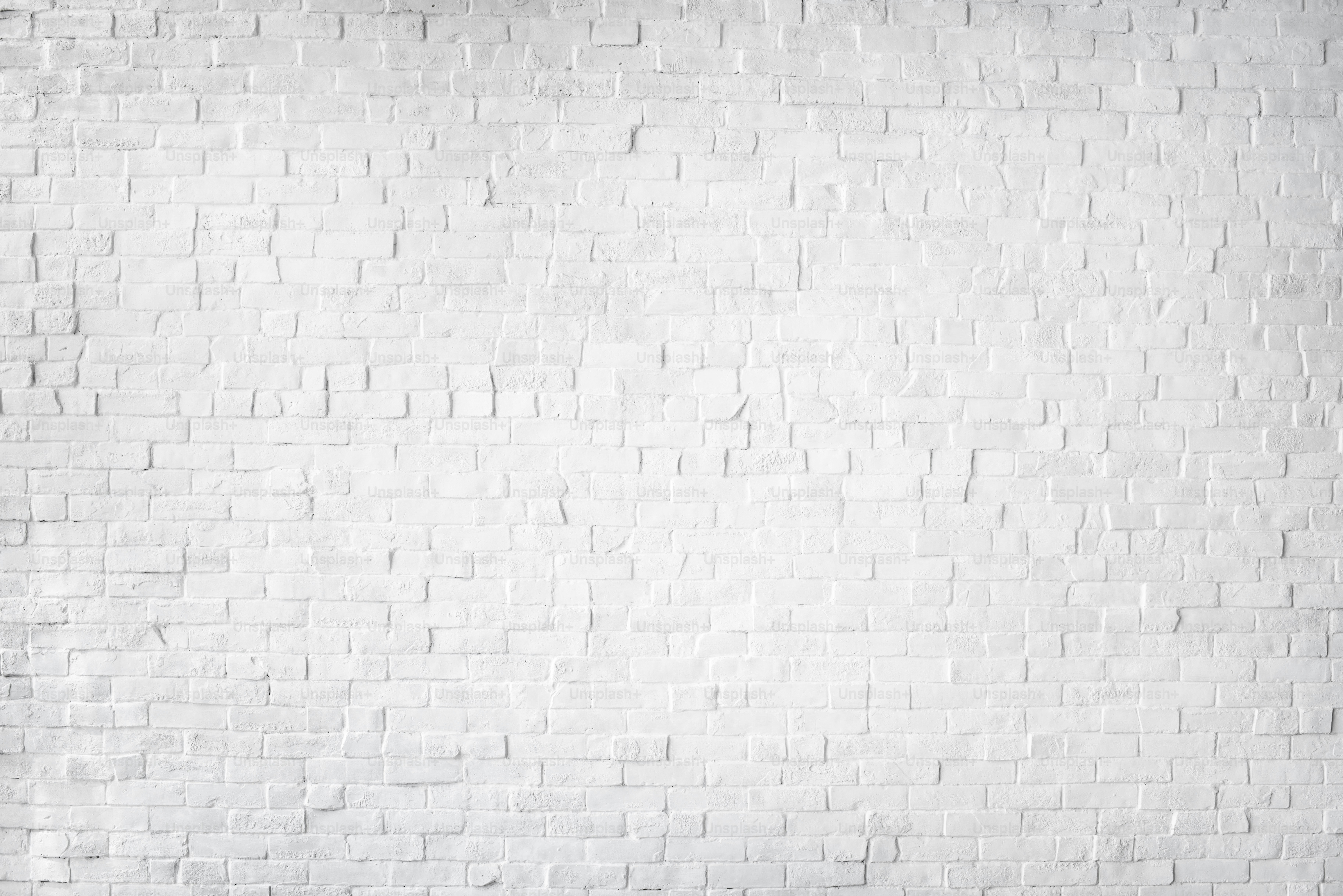 Beau mur en briques peints en blanc