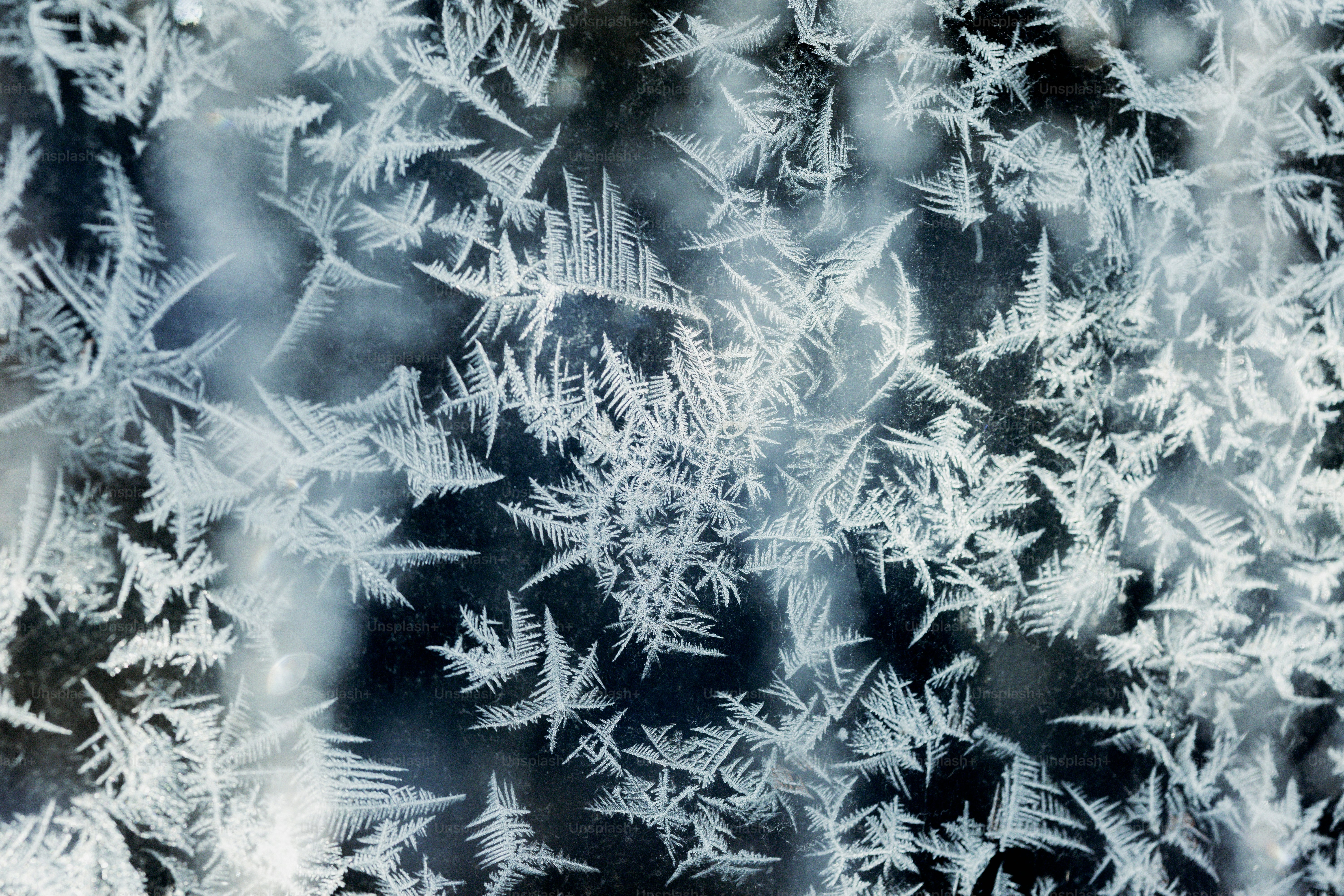 Close-up of intricate frost crystals on a dark surface