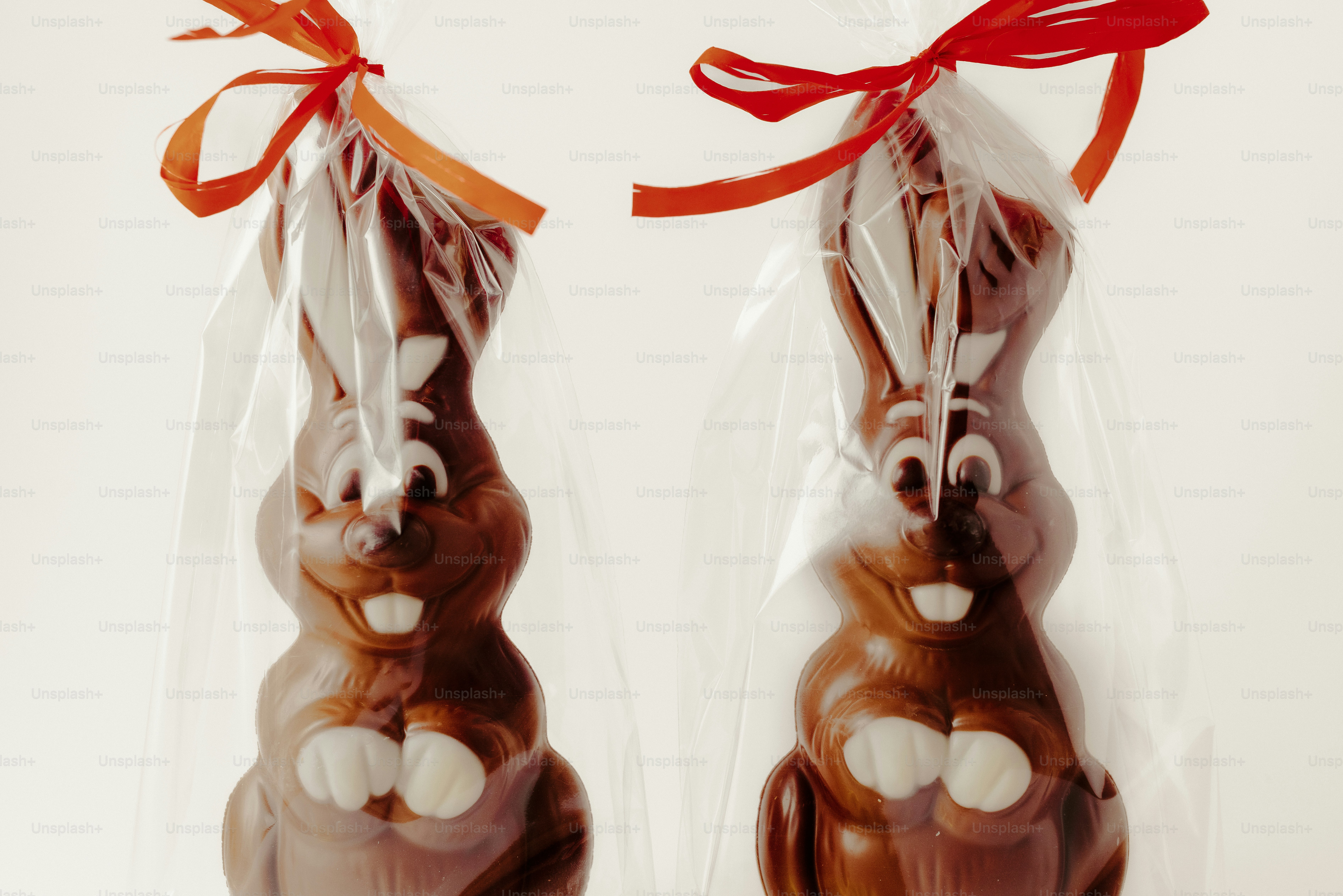 Deux lapins en chocolat enveloppés dans du plastique transparent avec des rubans rouges