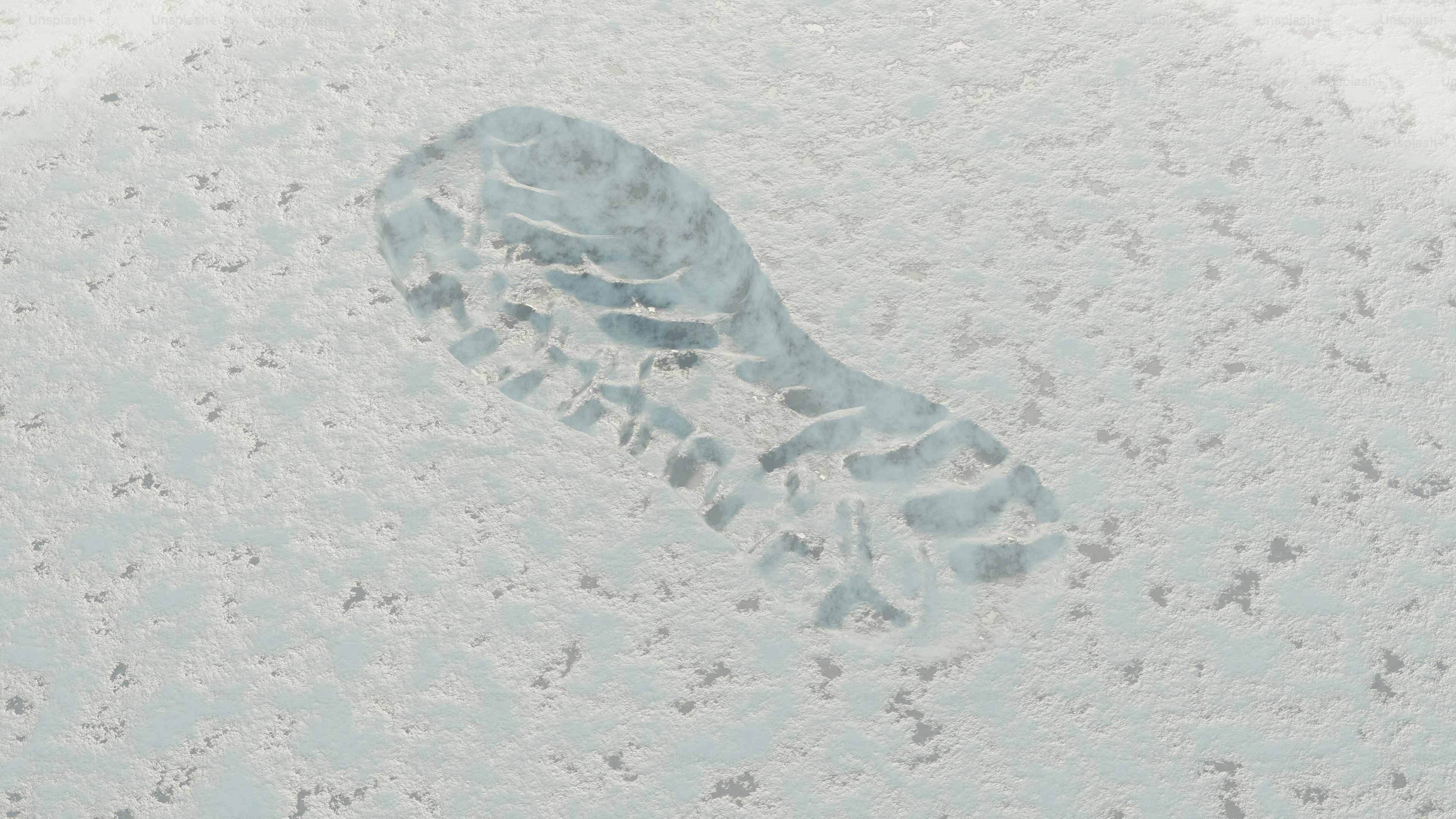 Ein einzelner Fußabdruck in eine verschneite Oberfläche gedrückt.