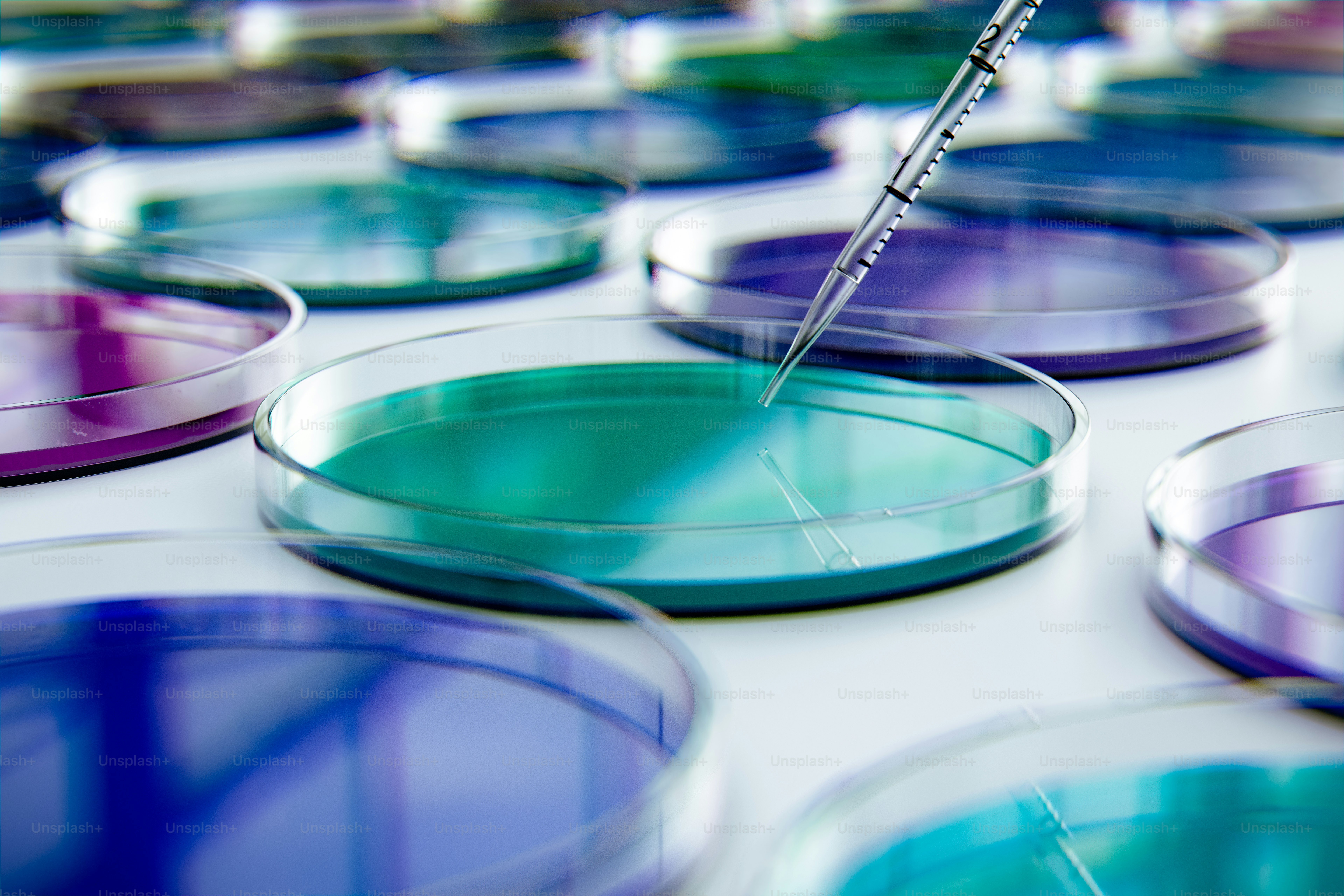 Pipette dropping liquid into colorful petri dishes.