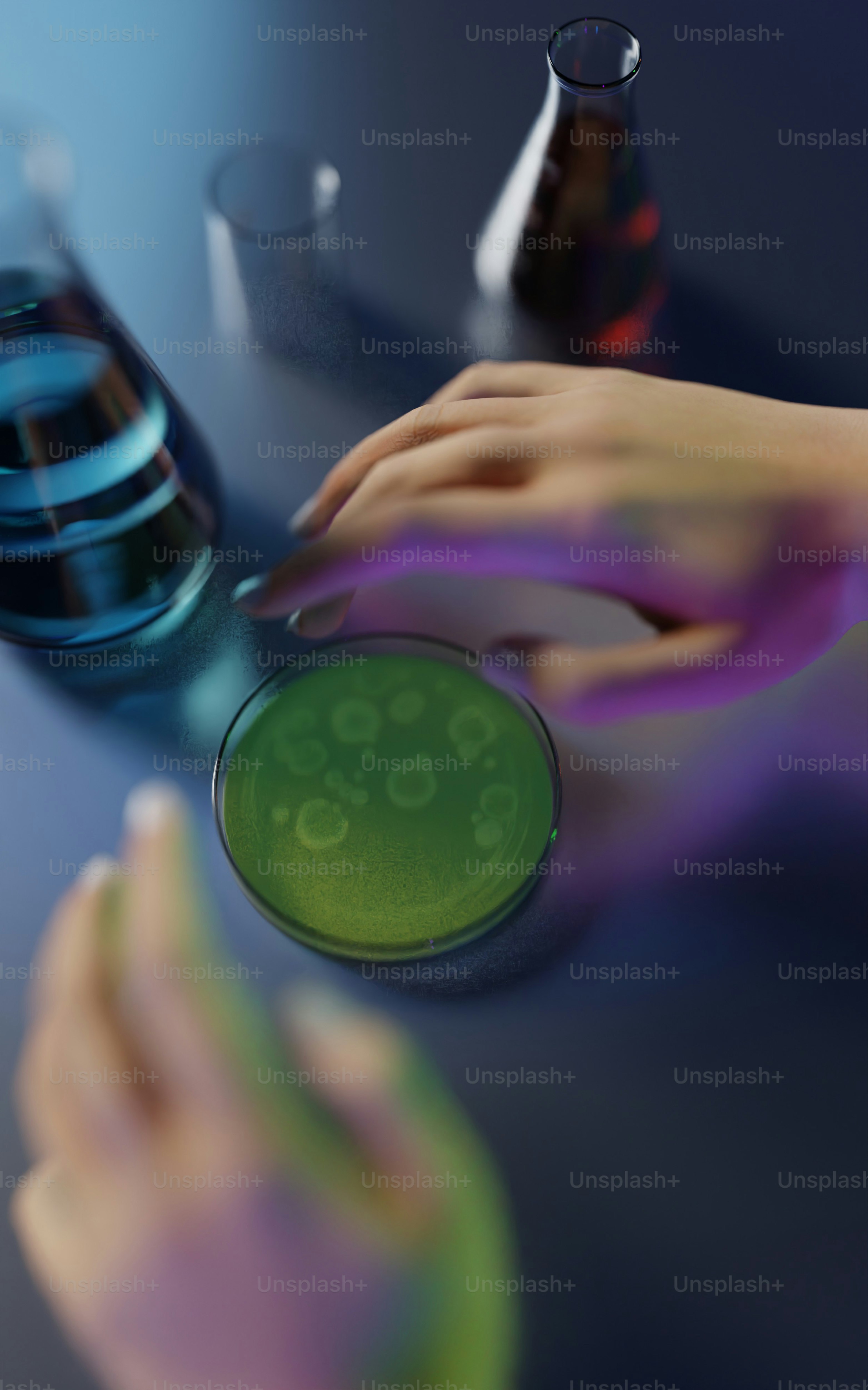 Les mains s’étendent vers une boîte de Petri avec la culture verte