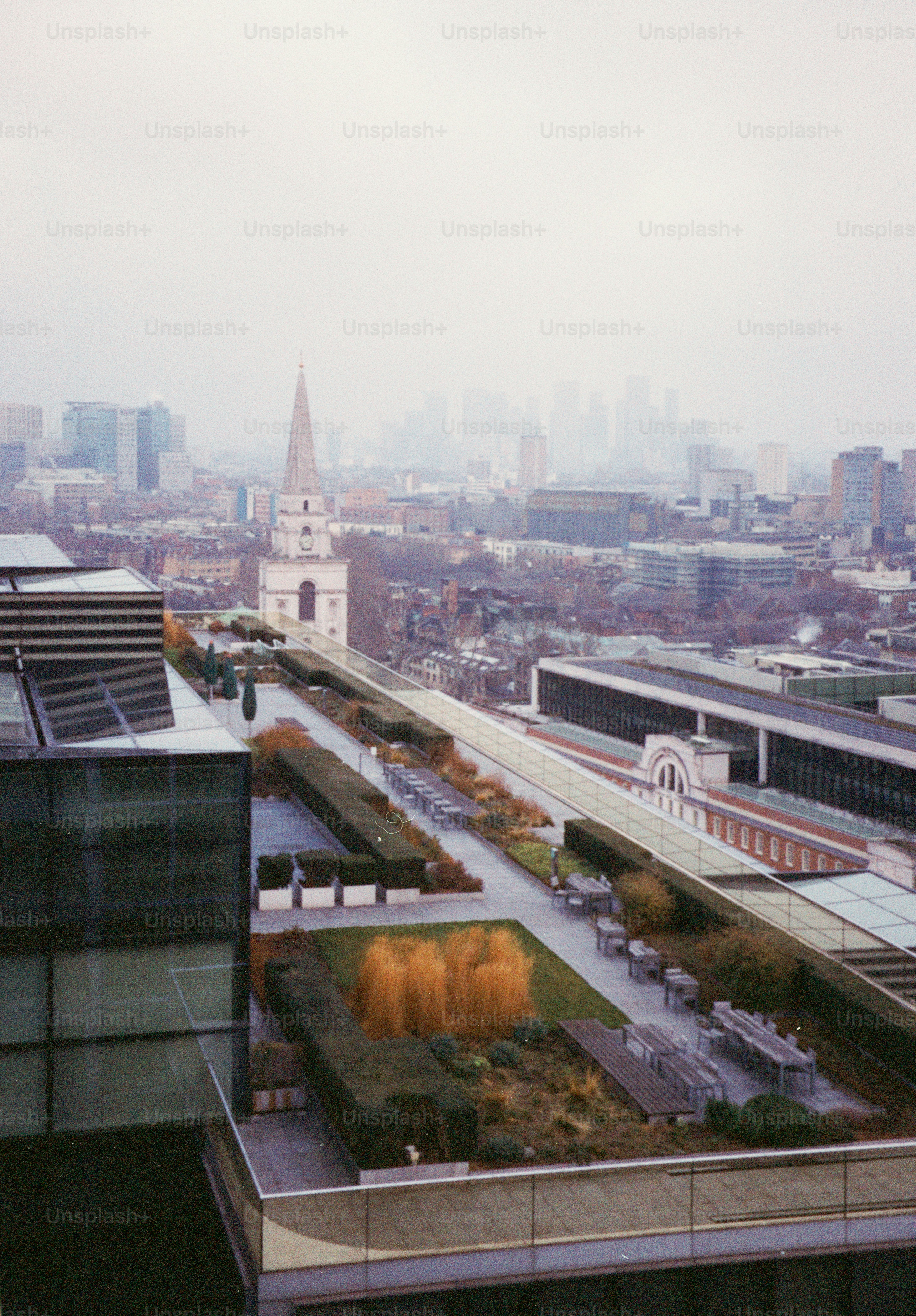 Rooftop garden with city skyline on a foggy day