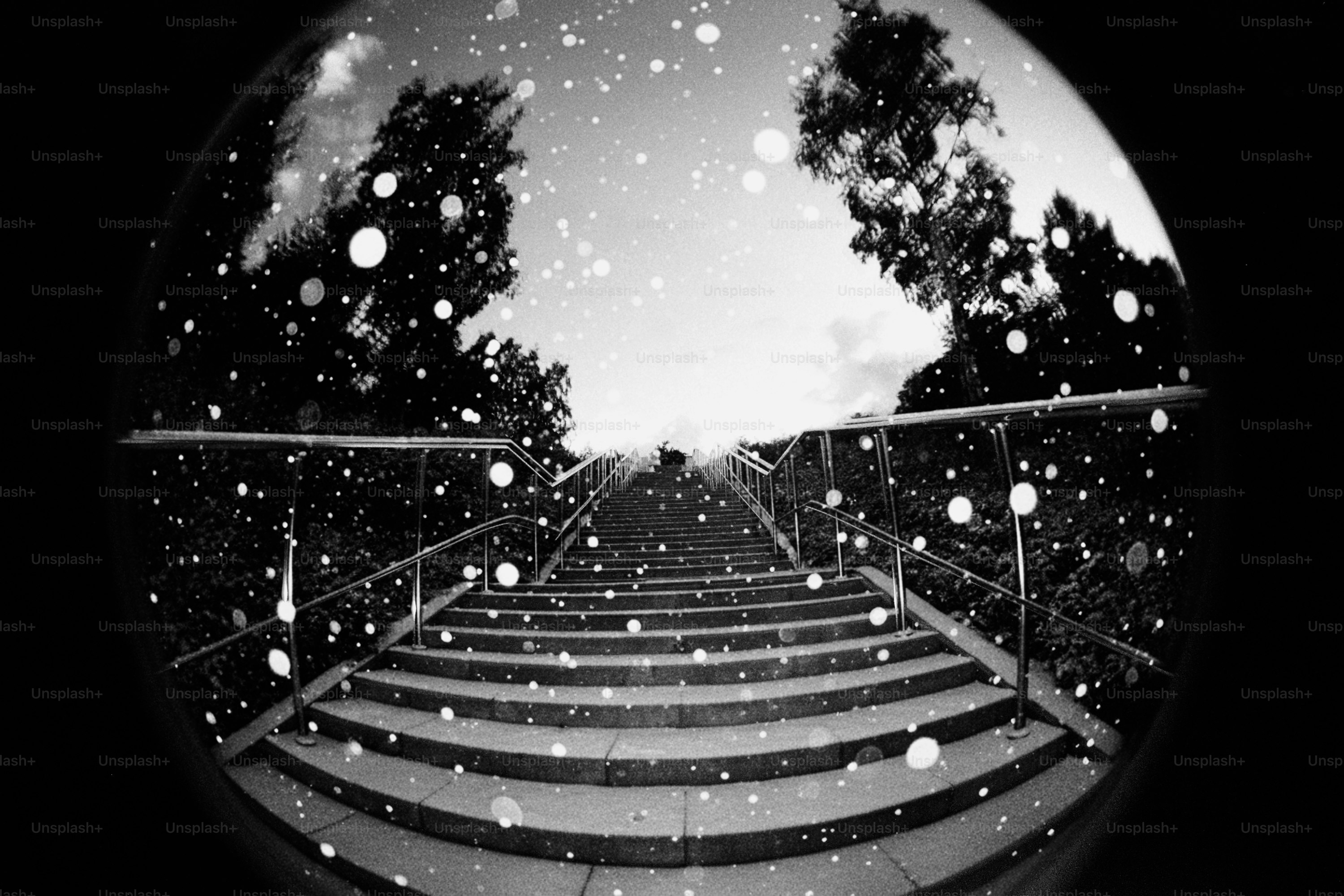 Snow falling on stairs leading upwards with trees