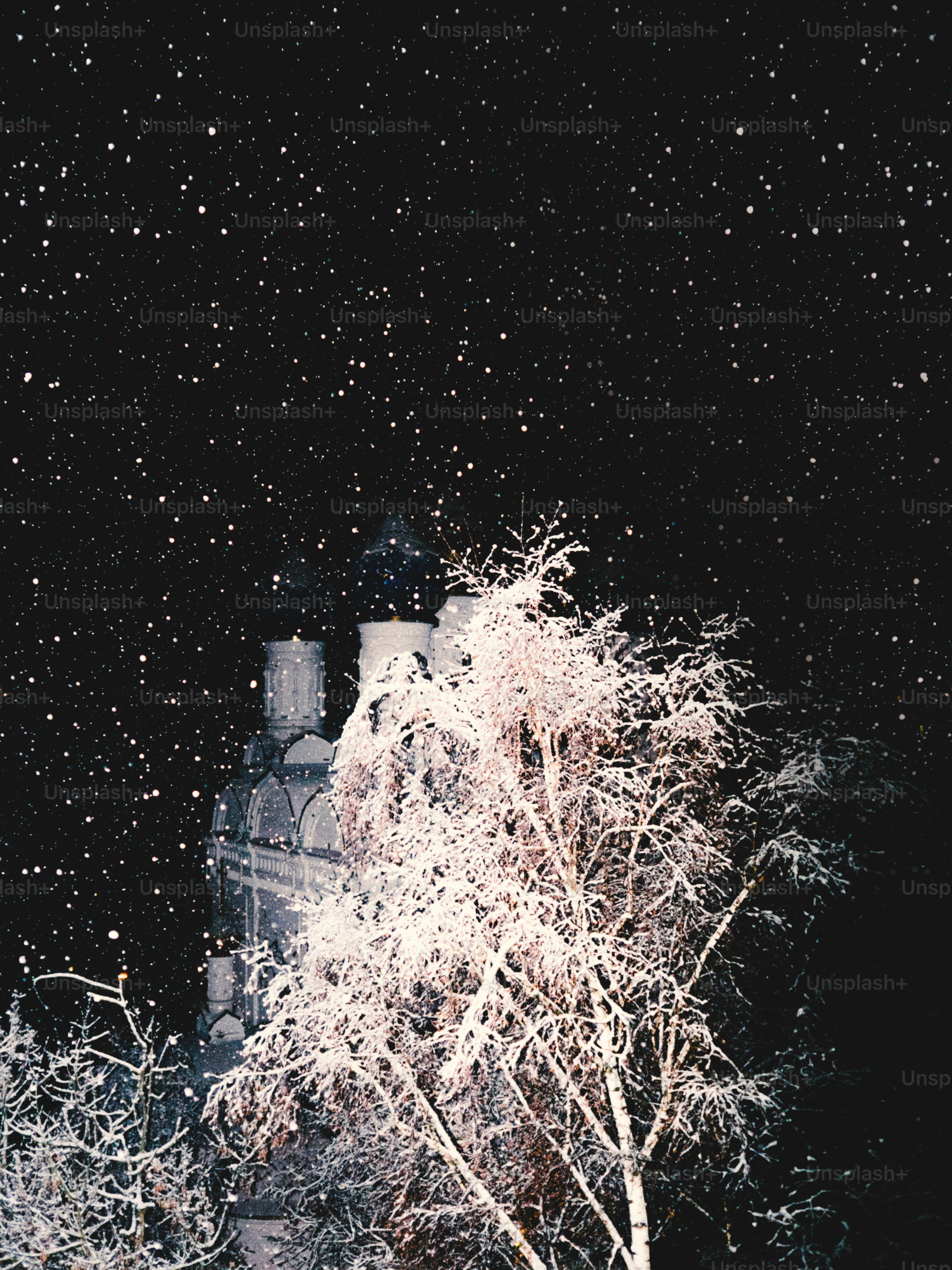 Snowfall at night over a frosted tree and building.