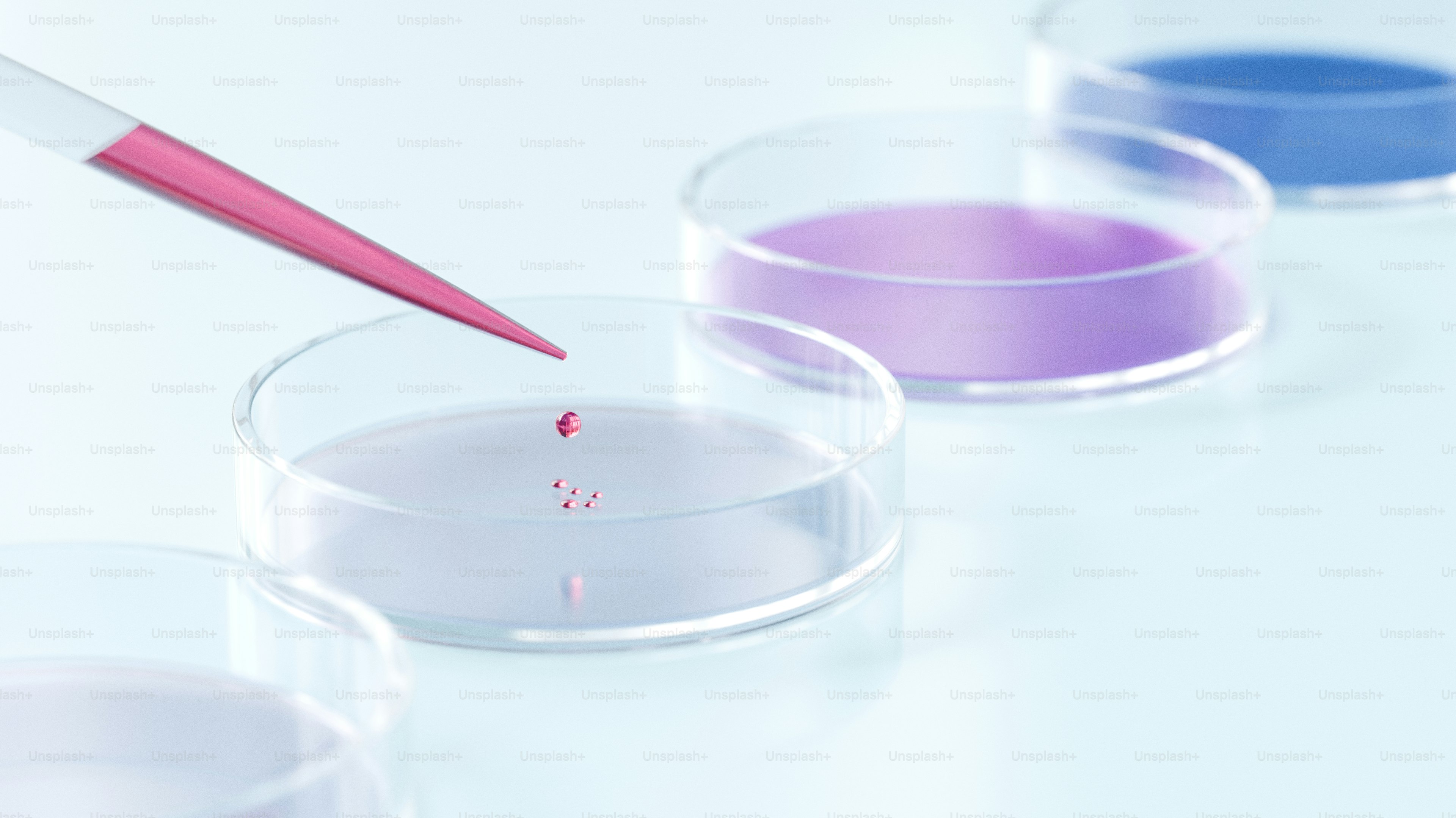 Pipette lässt Flüssigkeit in Petrischalen mit farbigen Flüssigkeiten fallen.