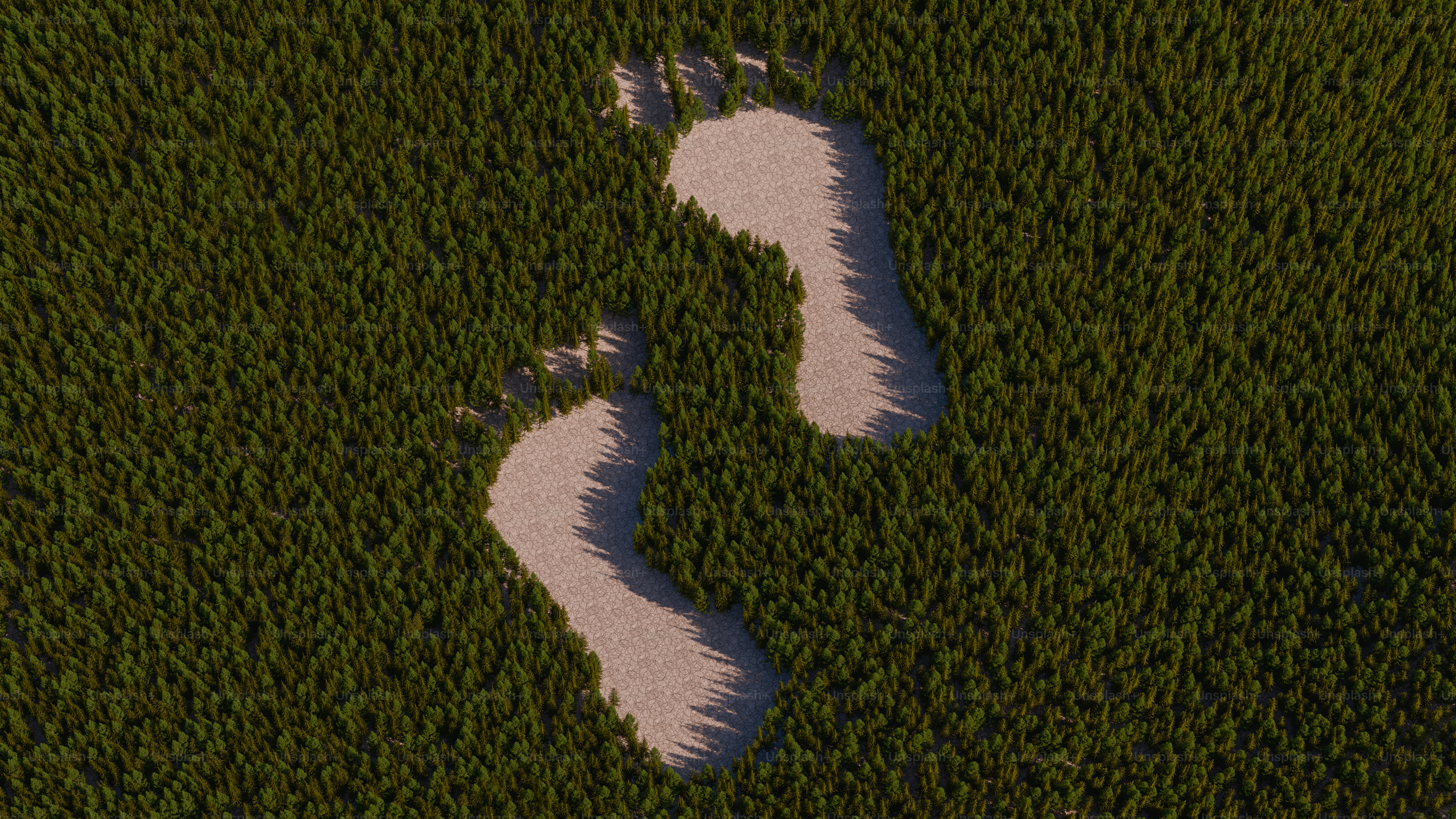 Footprints pressed into green grass