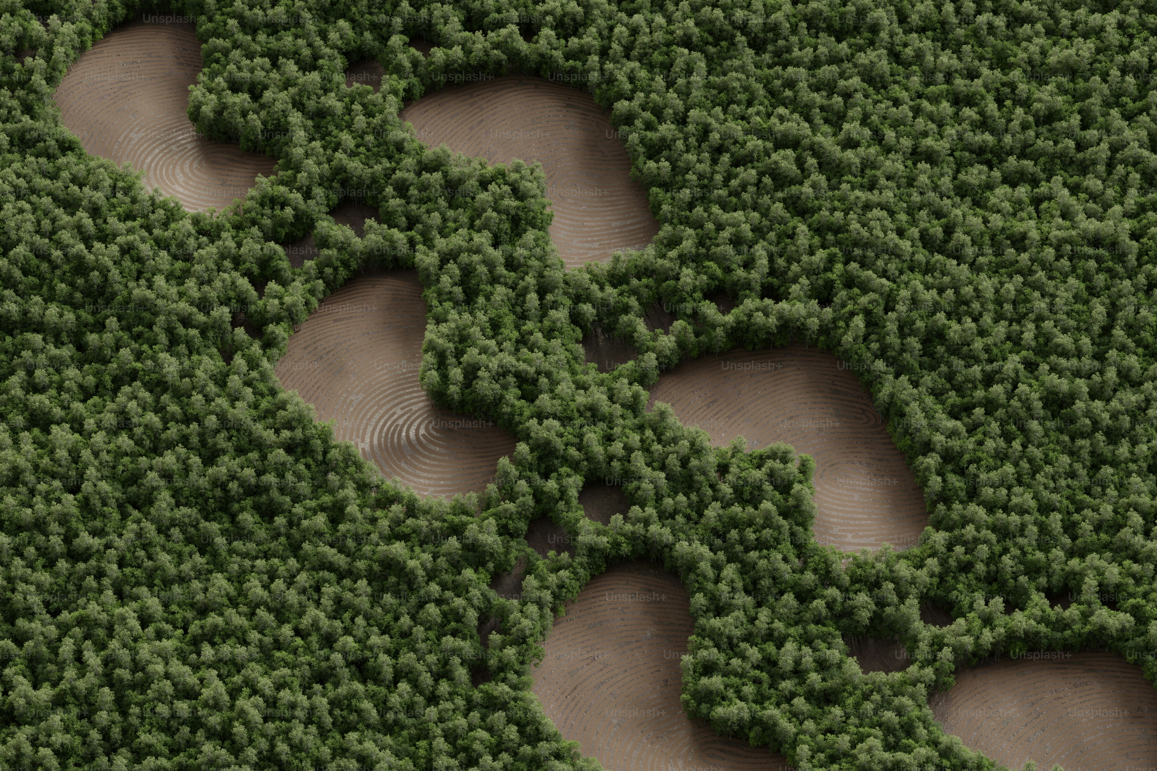 Fußabdrücke auf einer strukturierten grünen Oberfläche