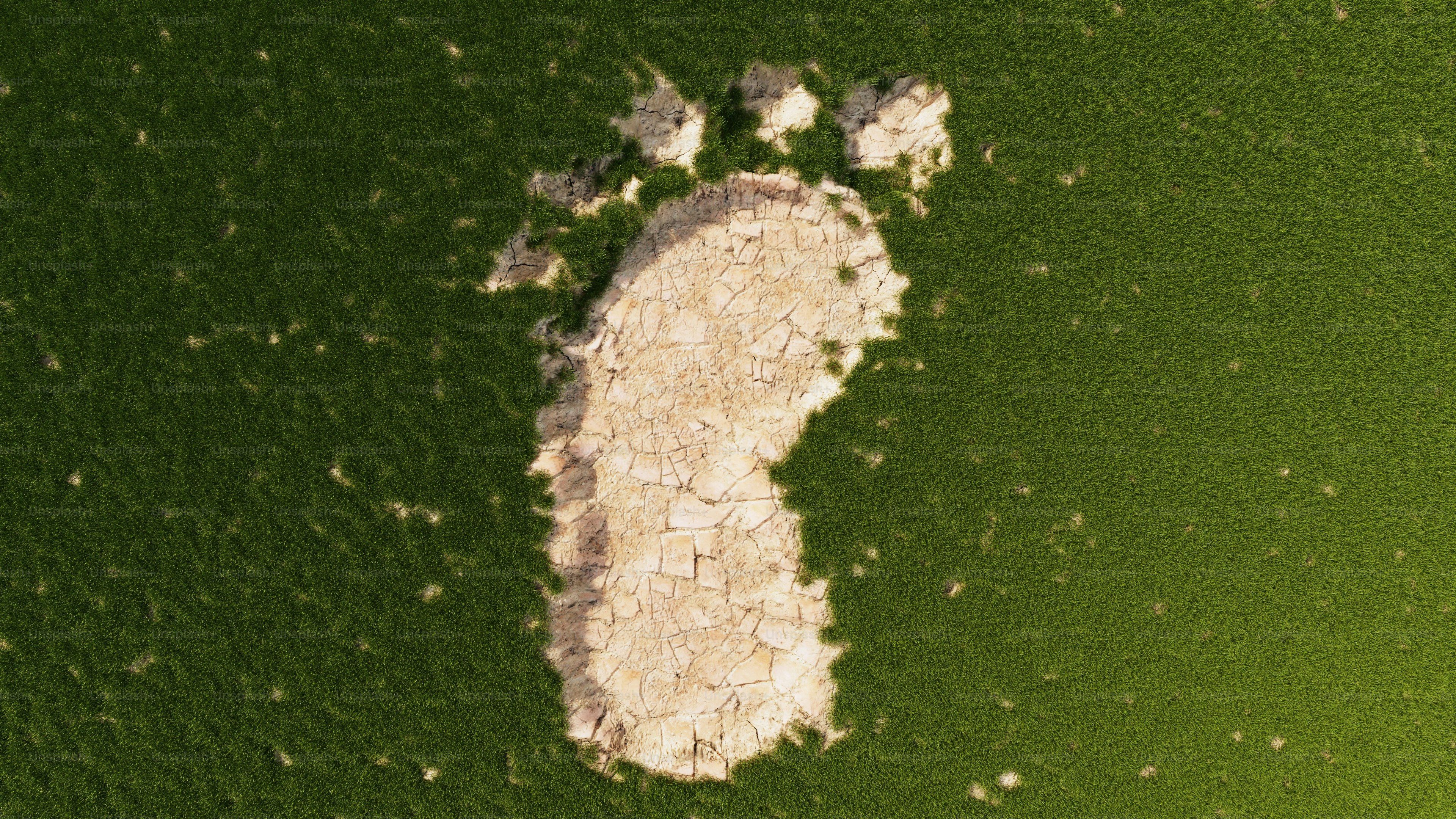 A footprint pressed into a green surface