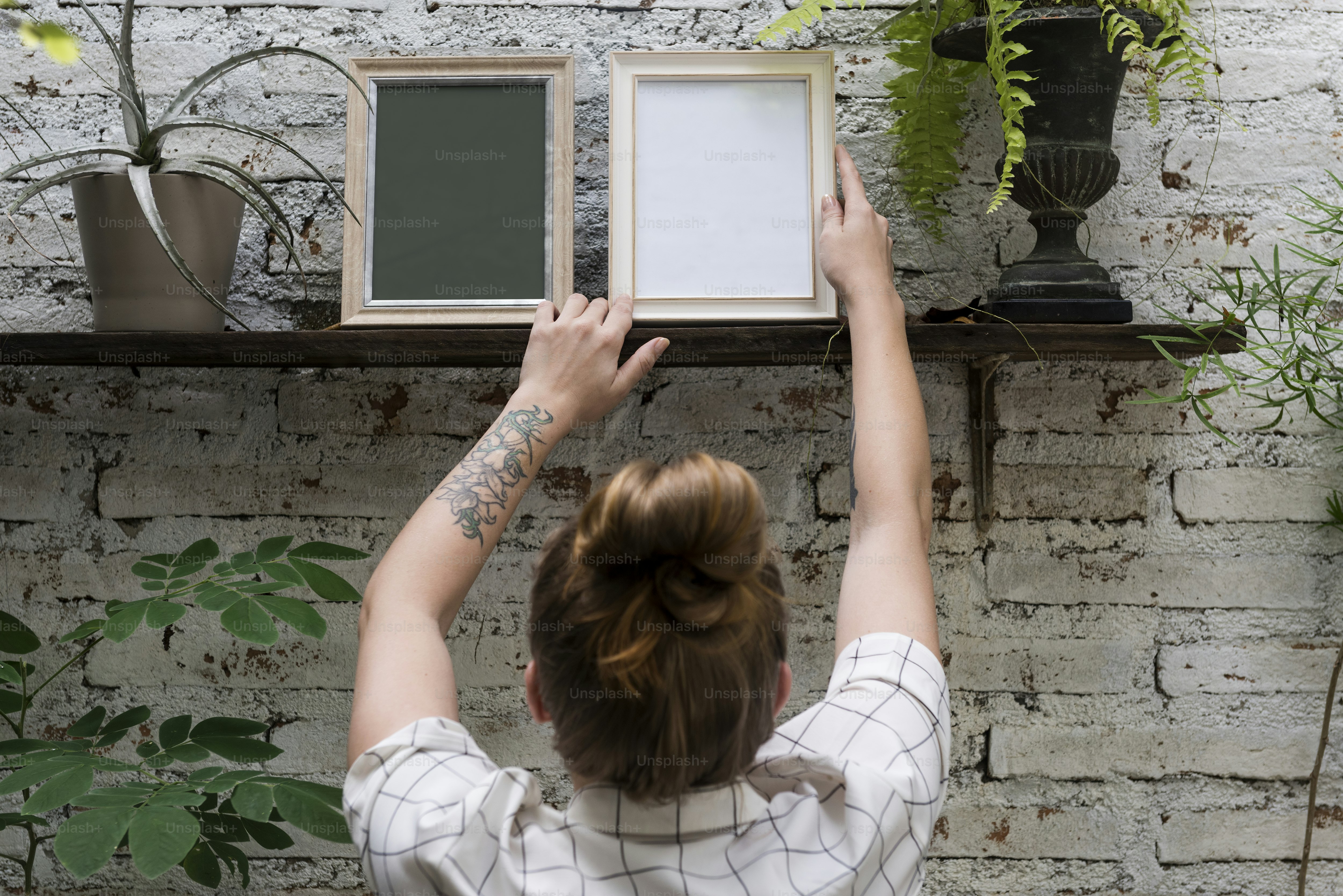 Design space of photo frames photo – Plant Image on Unsplash