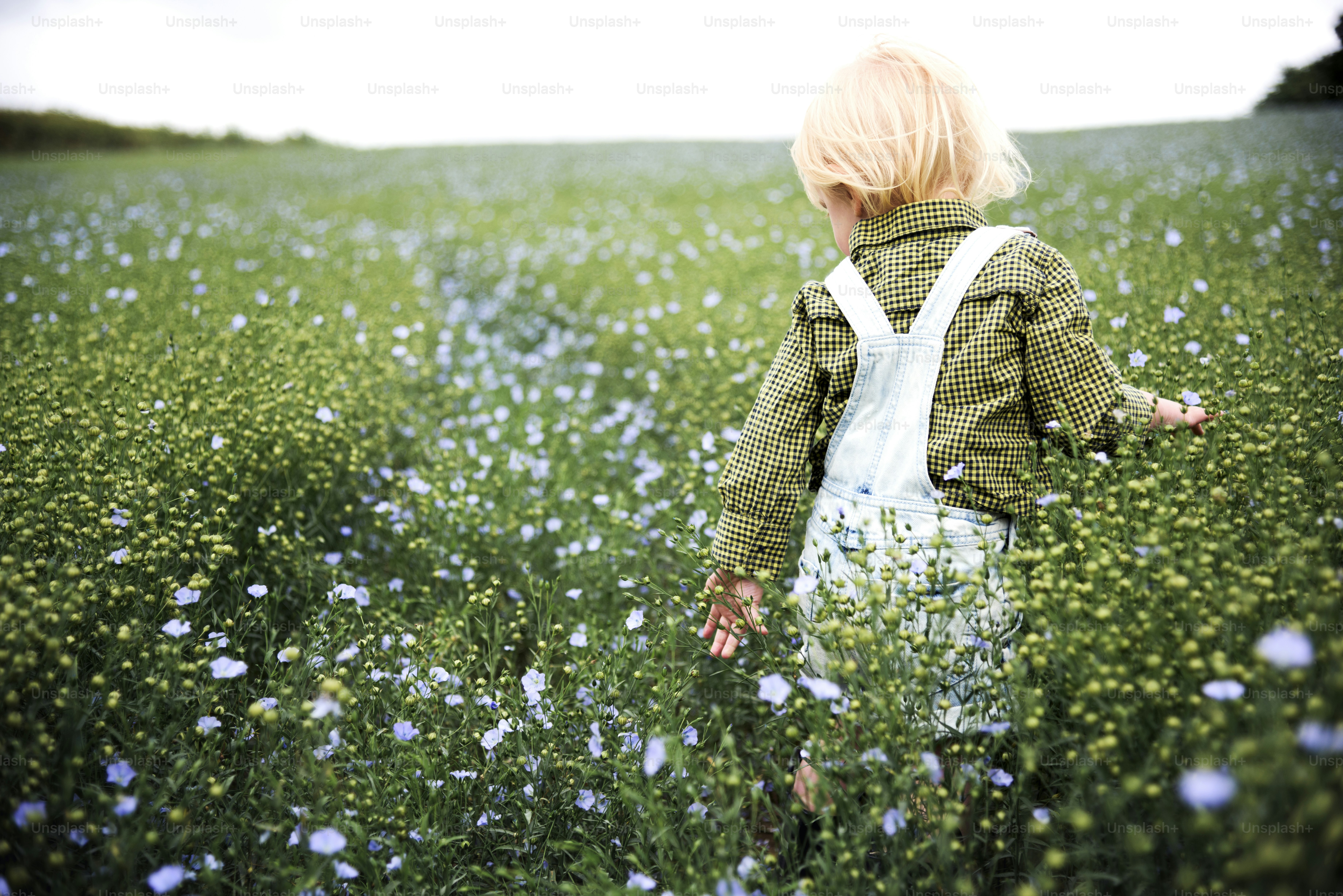 Cultivate Garden Nature saisonales Wachstumskonzept