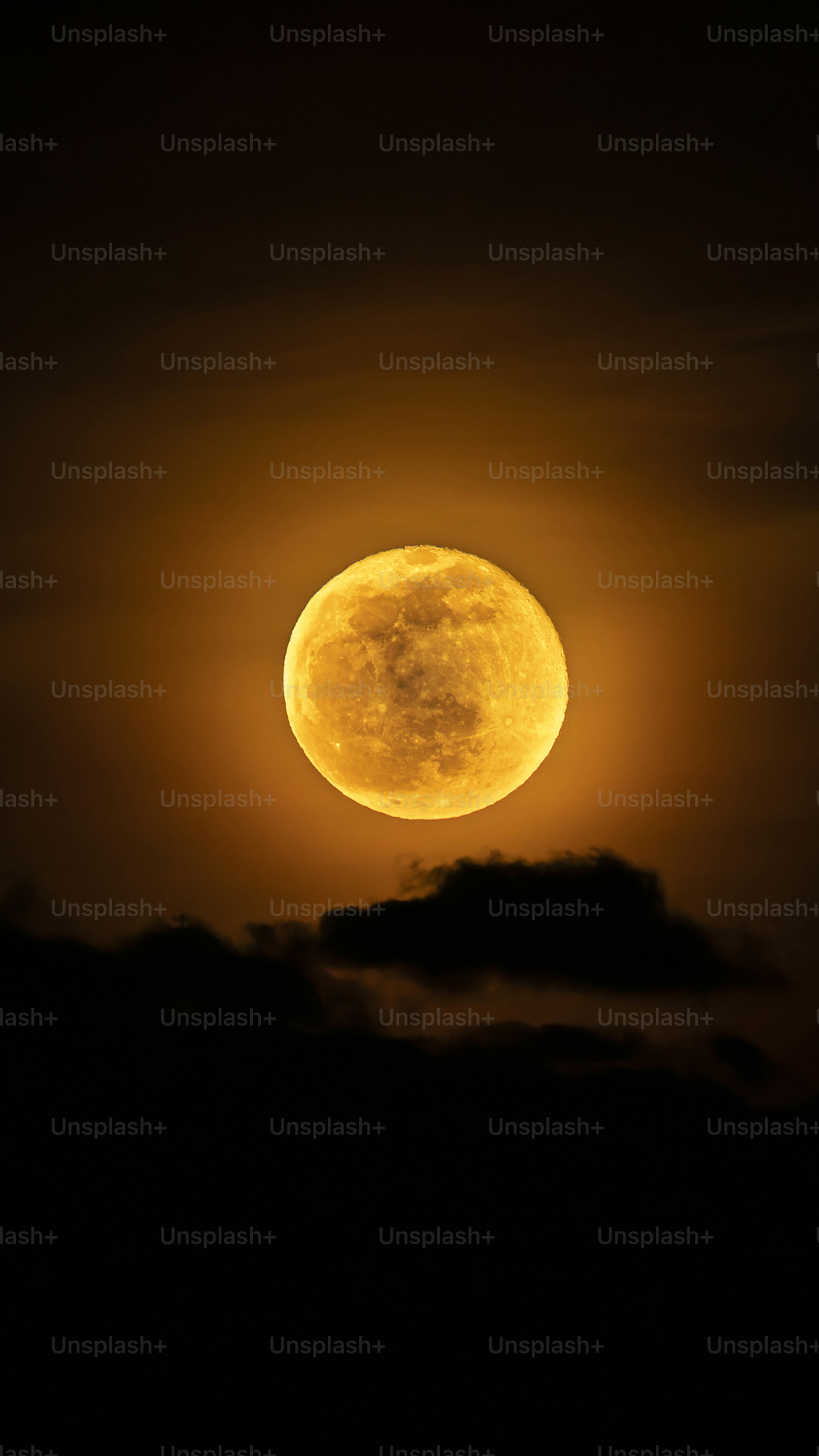 A large, orange full moon shines brightly