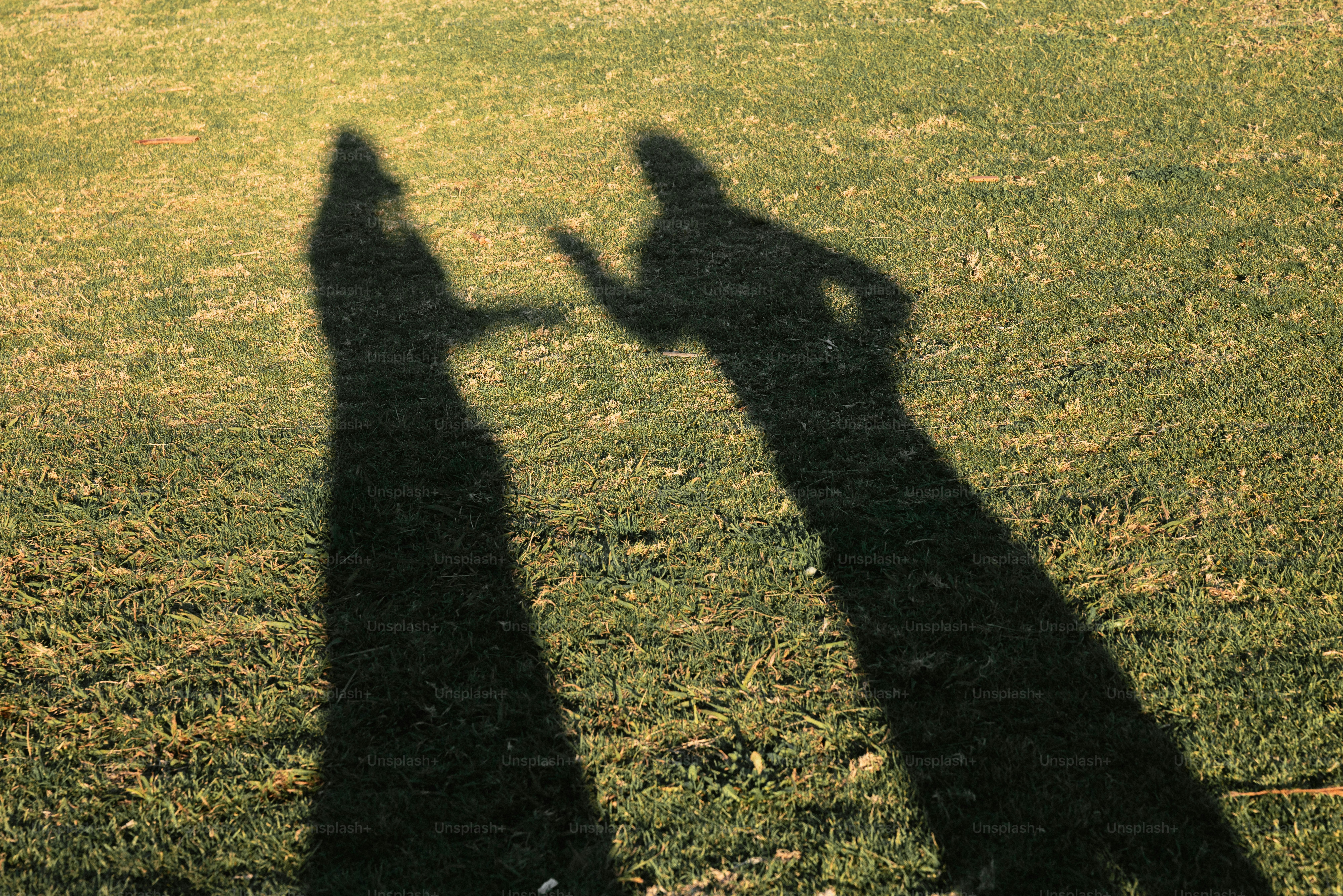 Les ombres de deux personnes sur le sol herbeux