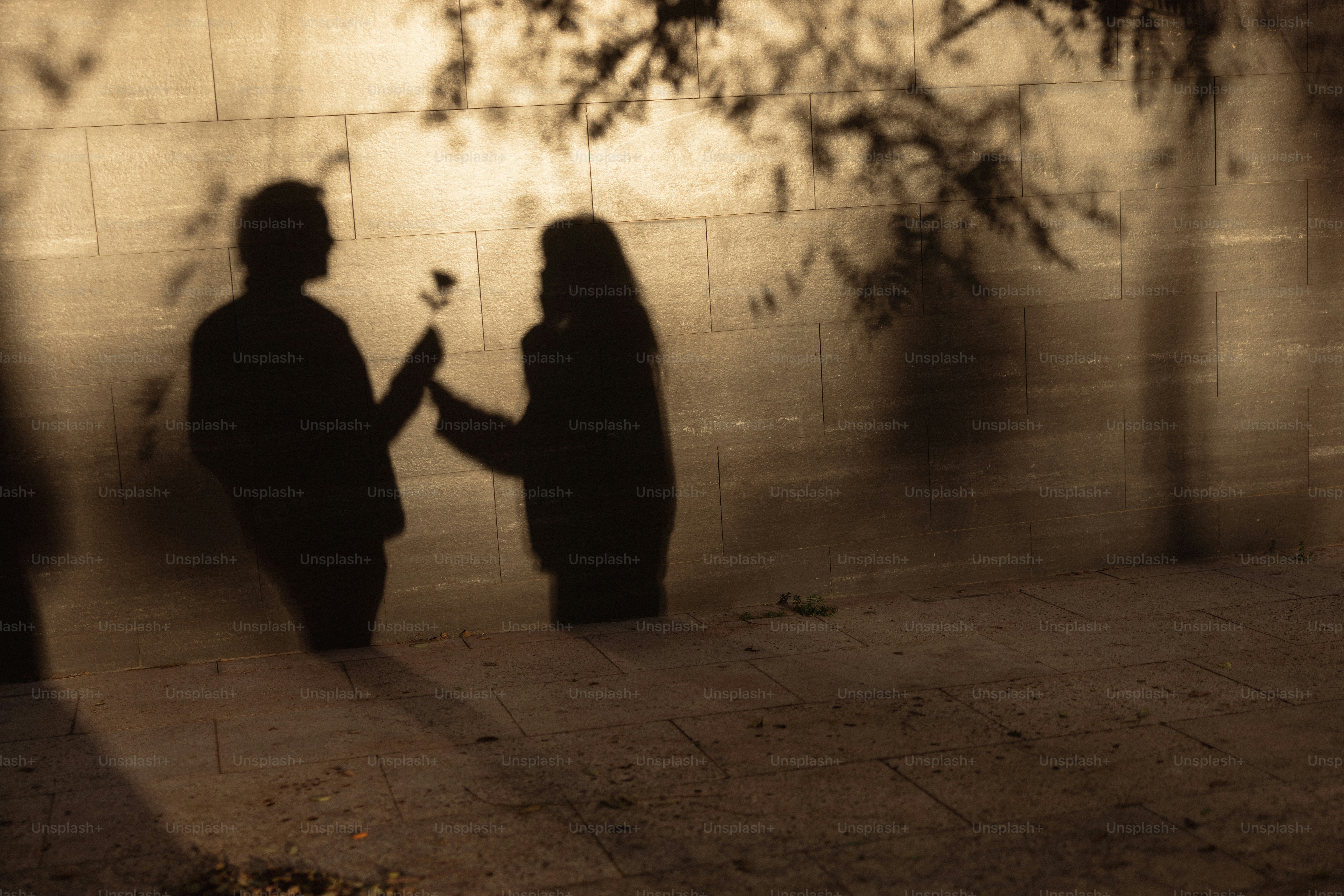 Silhouettes of a couple exchanging a rose at sunset.