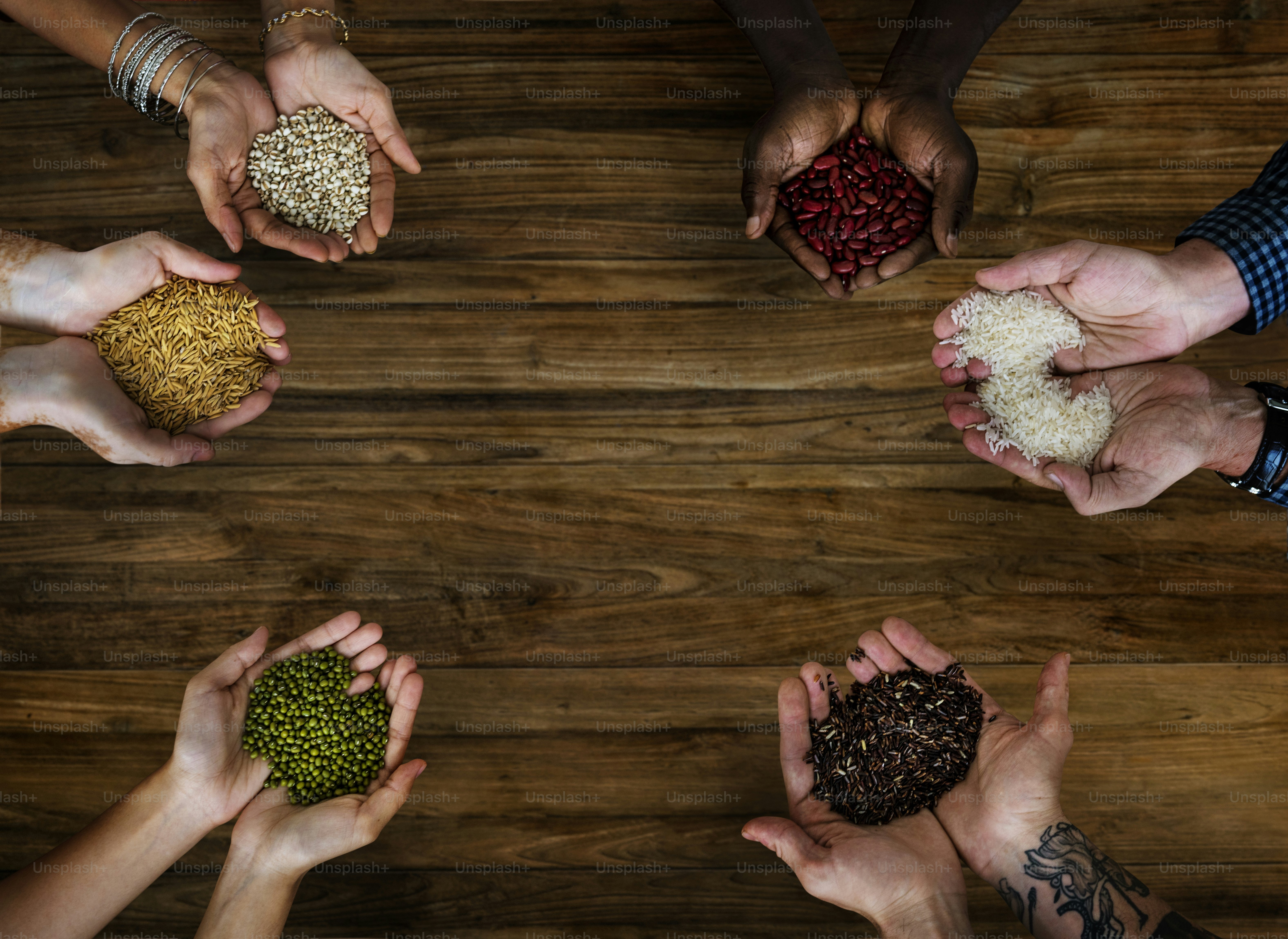 Hands holding different kind of seed and grain