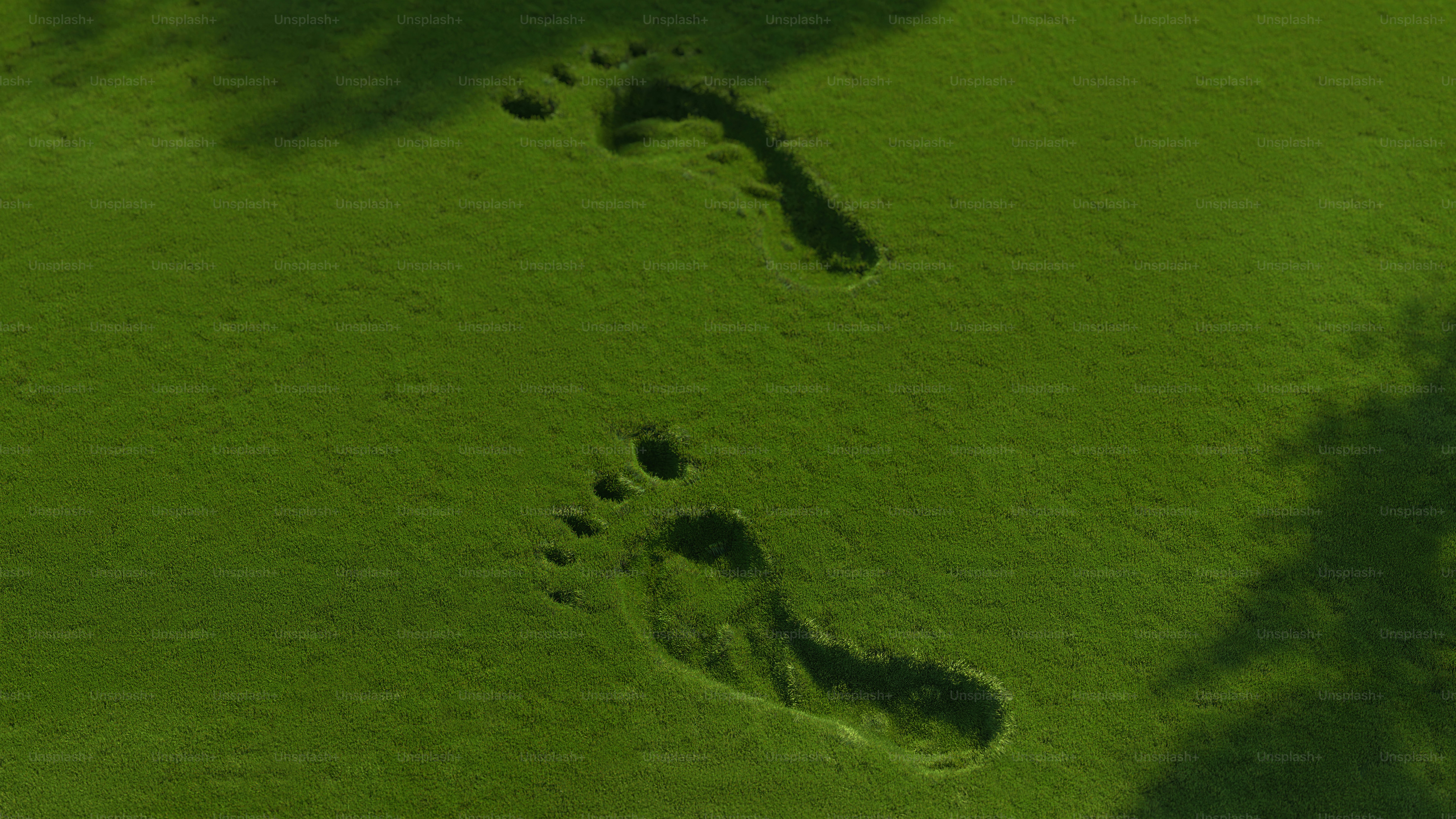 Footprints in the green sand
