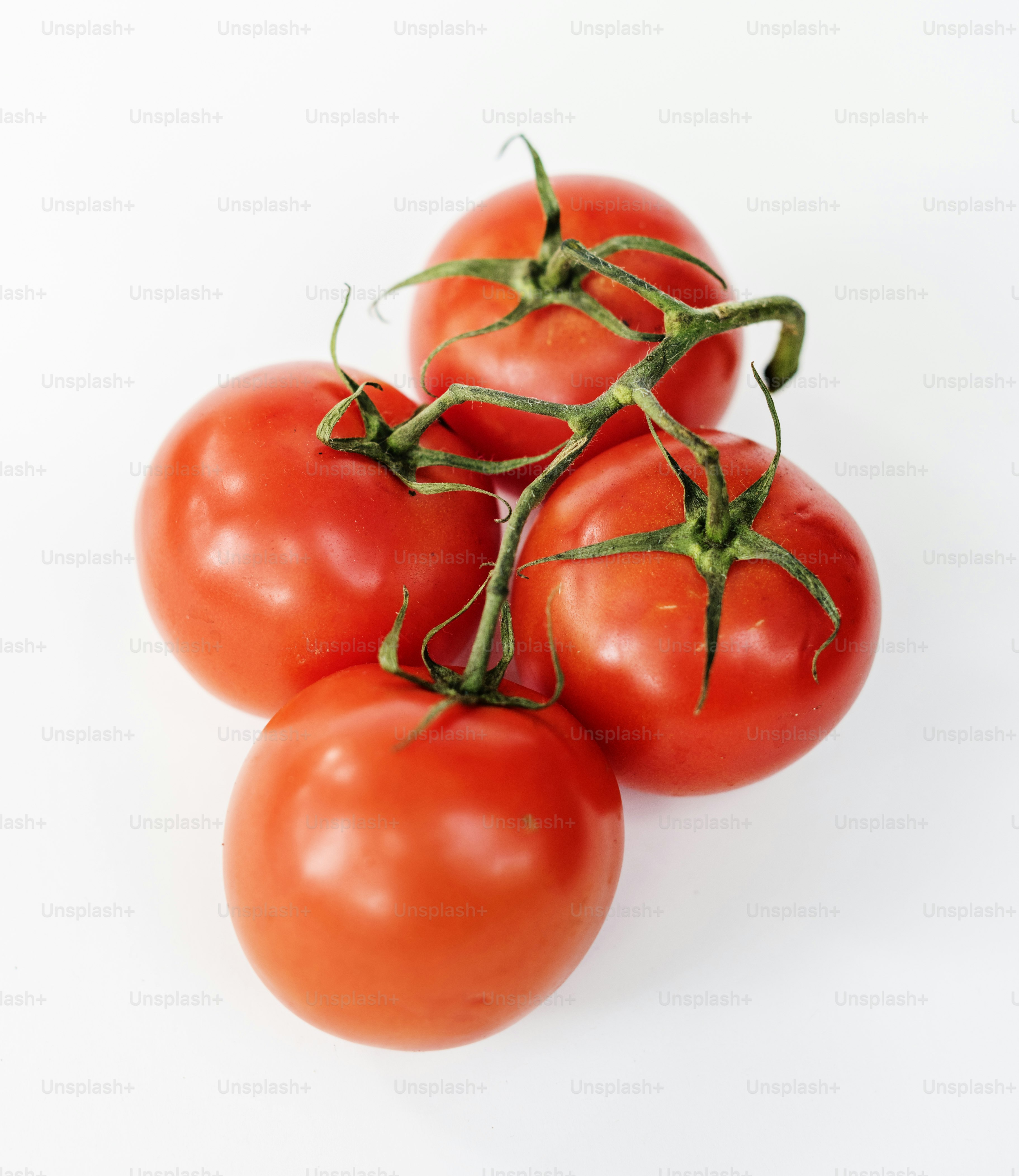 Natural tomatoes isolated on background photo – Food Image on Unsplash