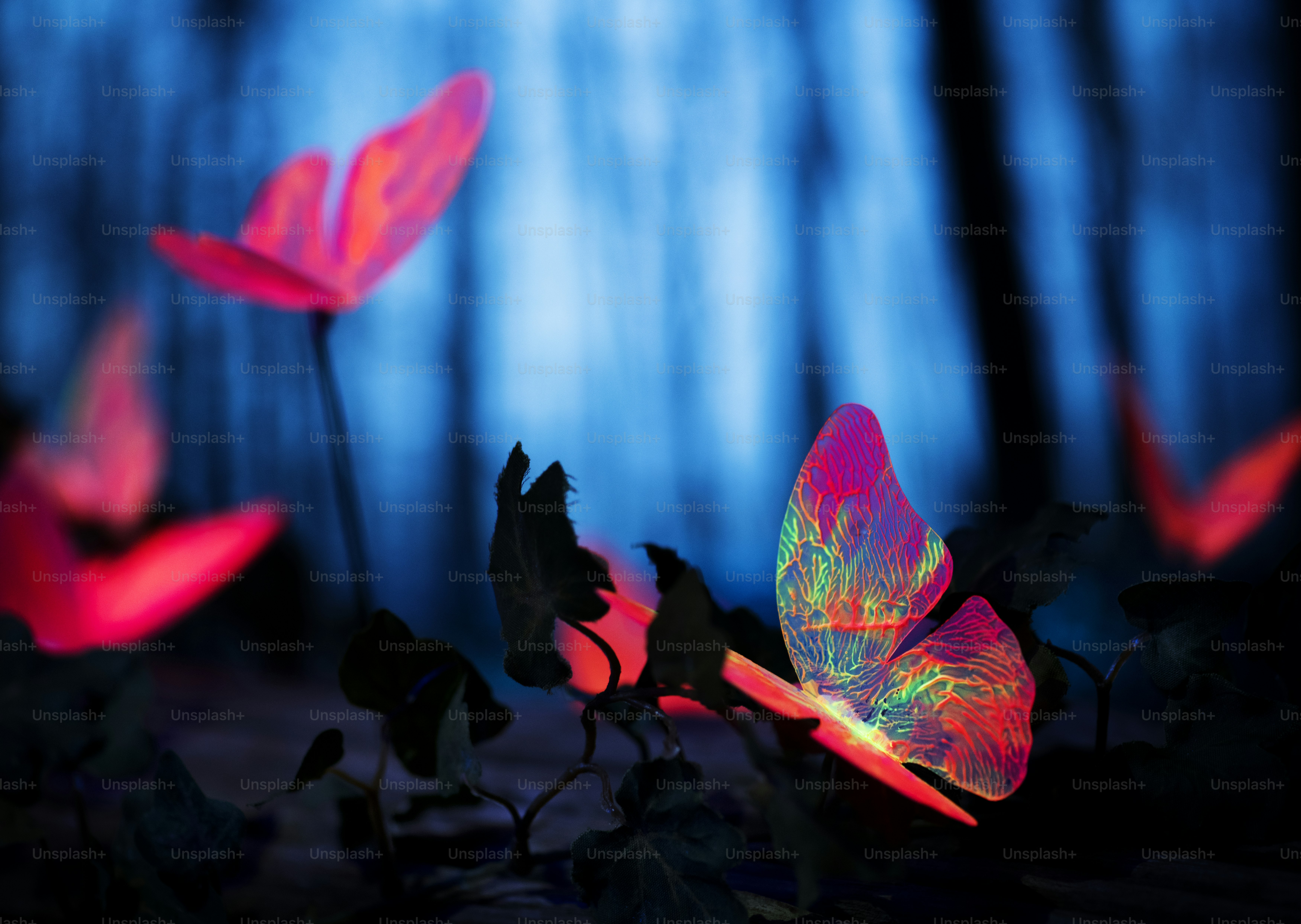 Glowing insects in the night forest photo – Insect Image on Unsplash