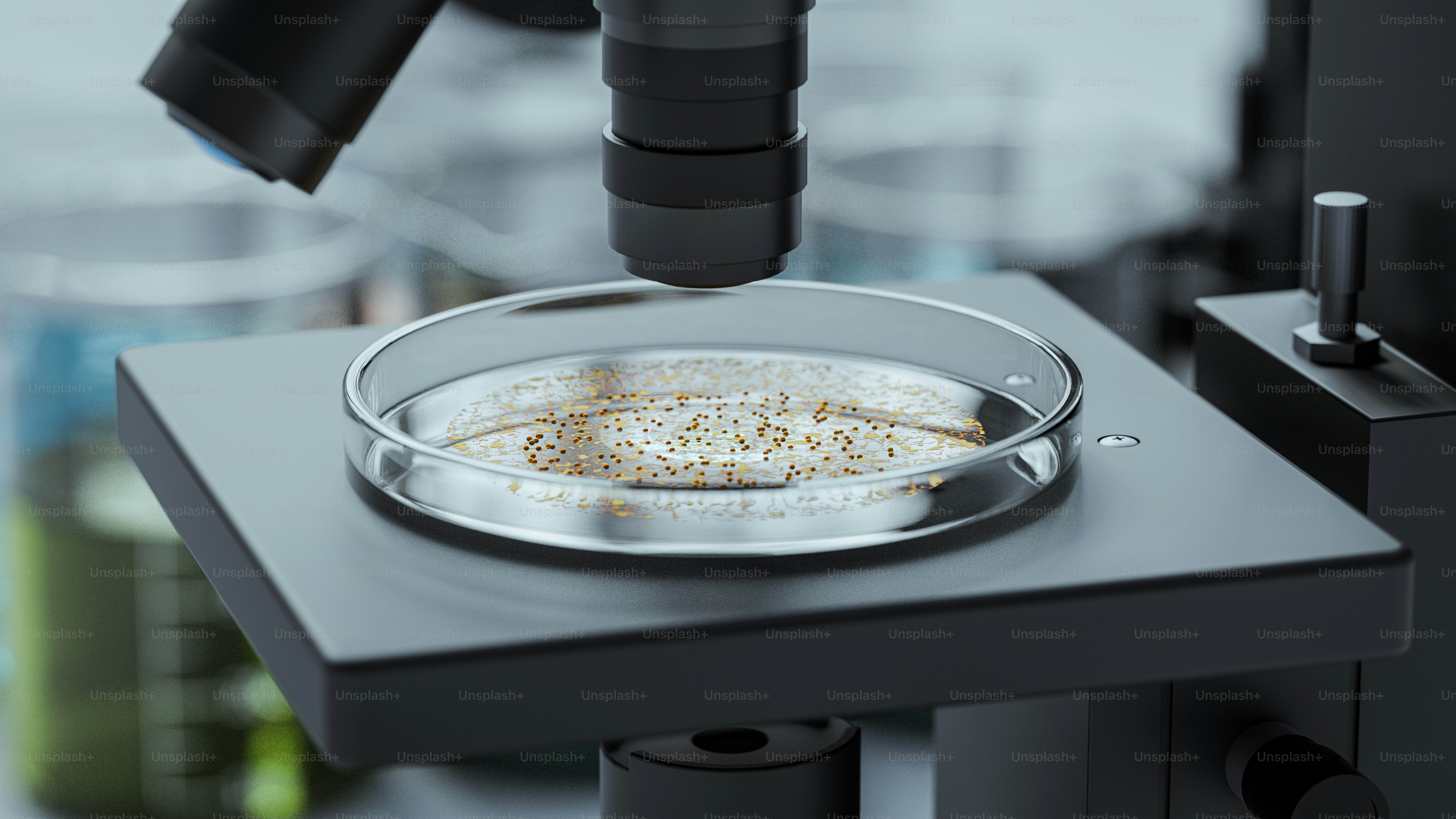 Microscopio che esamina una piastra di Petri con campione