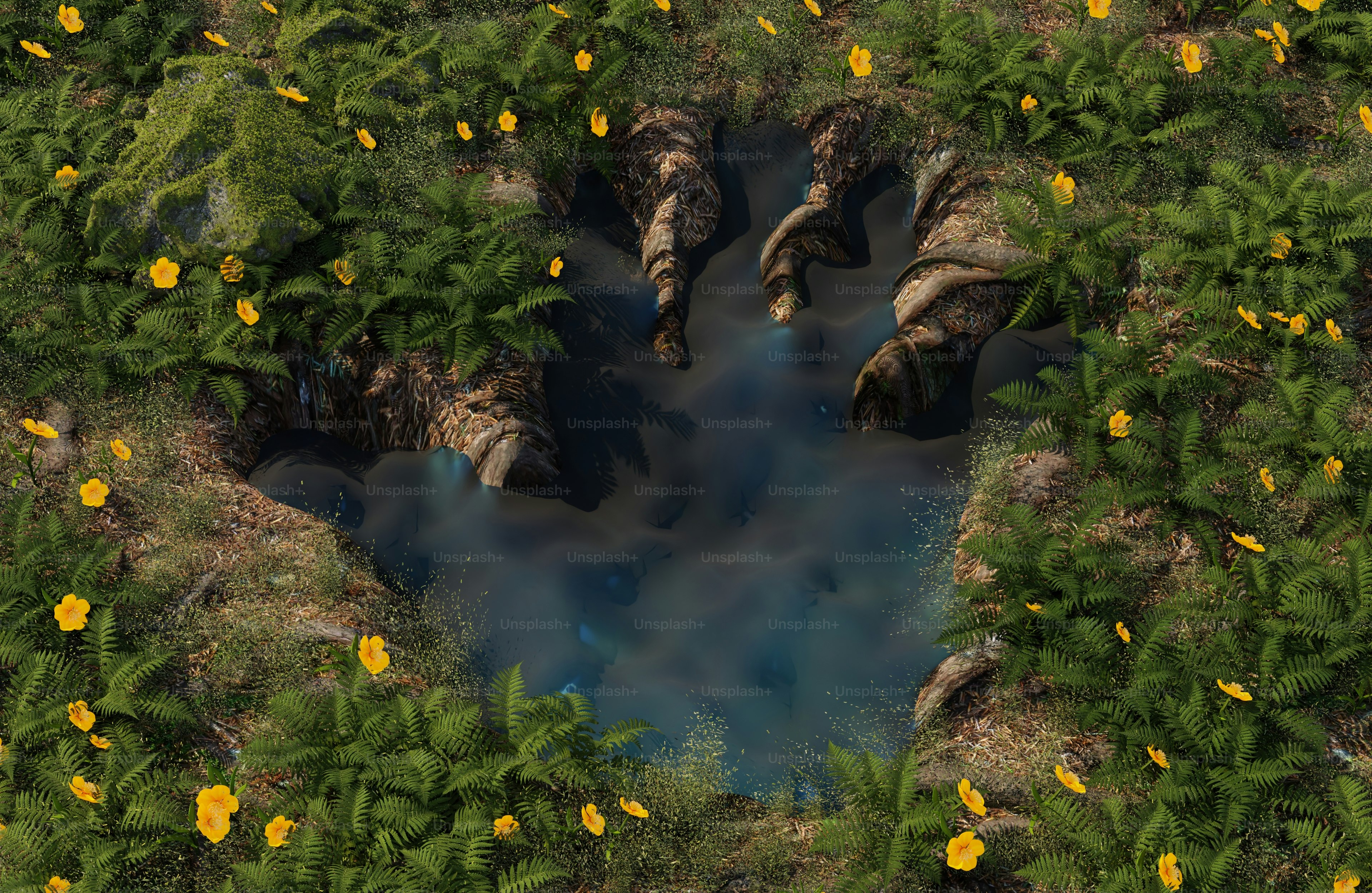 Riesiger Dinosaurier-Fußabdruck voller Wasser und umgeben von Pflanzen.