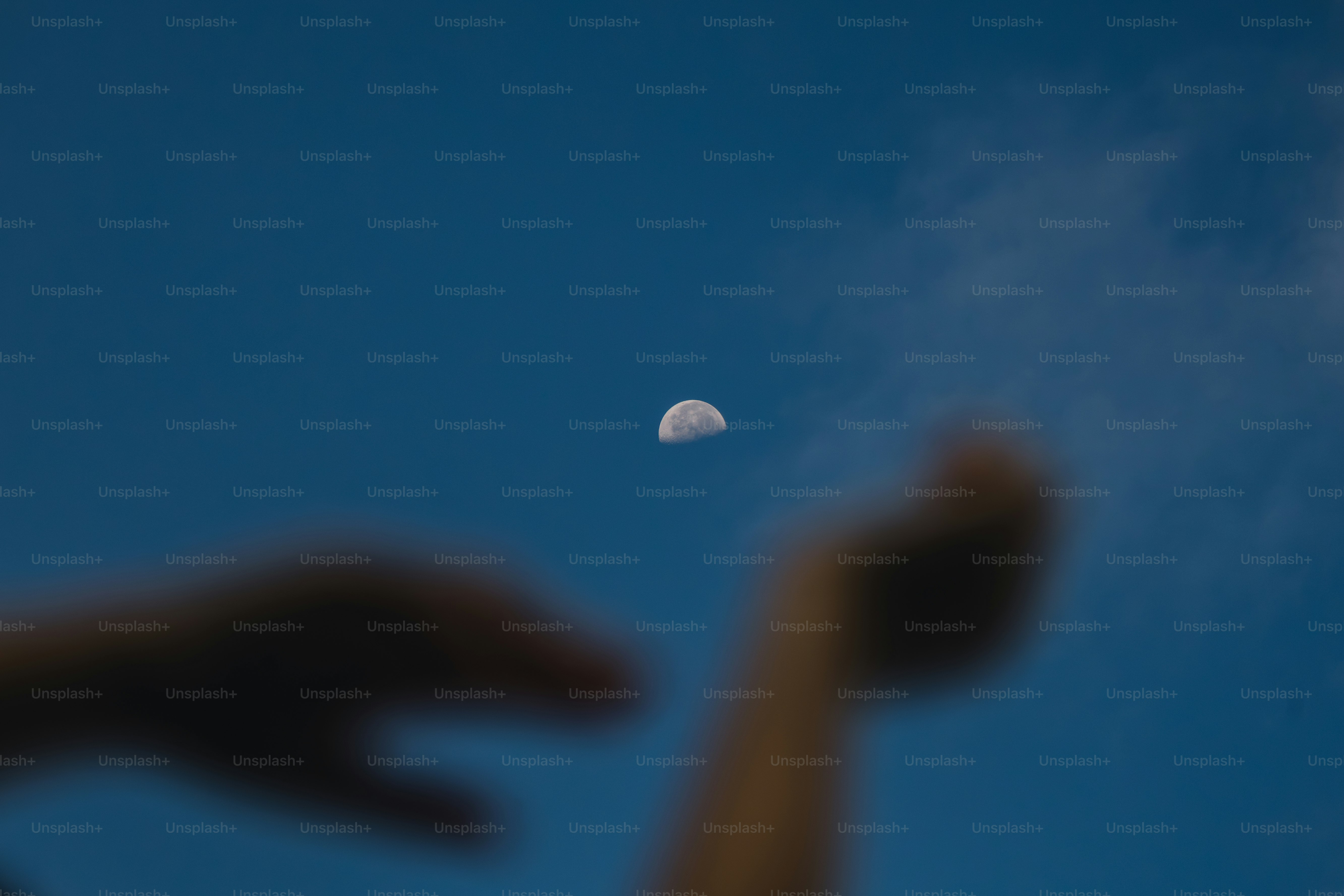 Half moon in a clear blue sky.