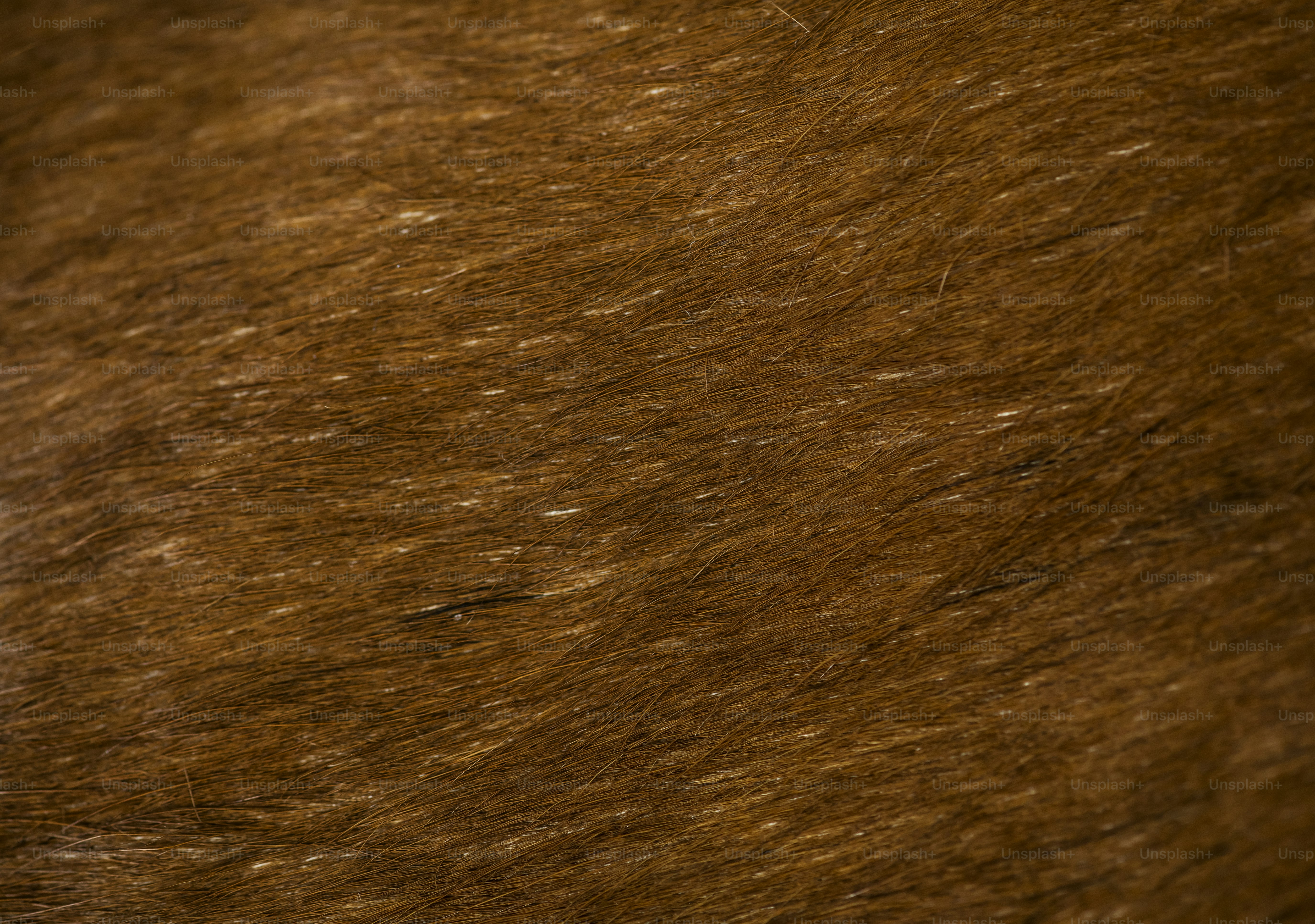 Closeup of rustic hay background photo – Texture Image on Unsplash