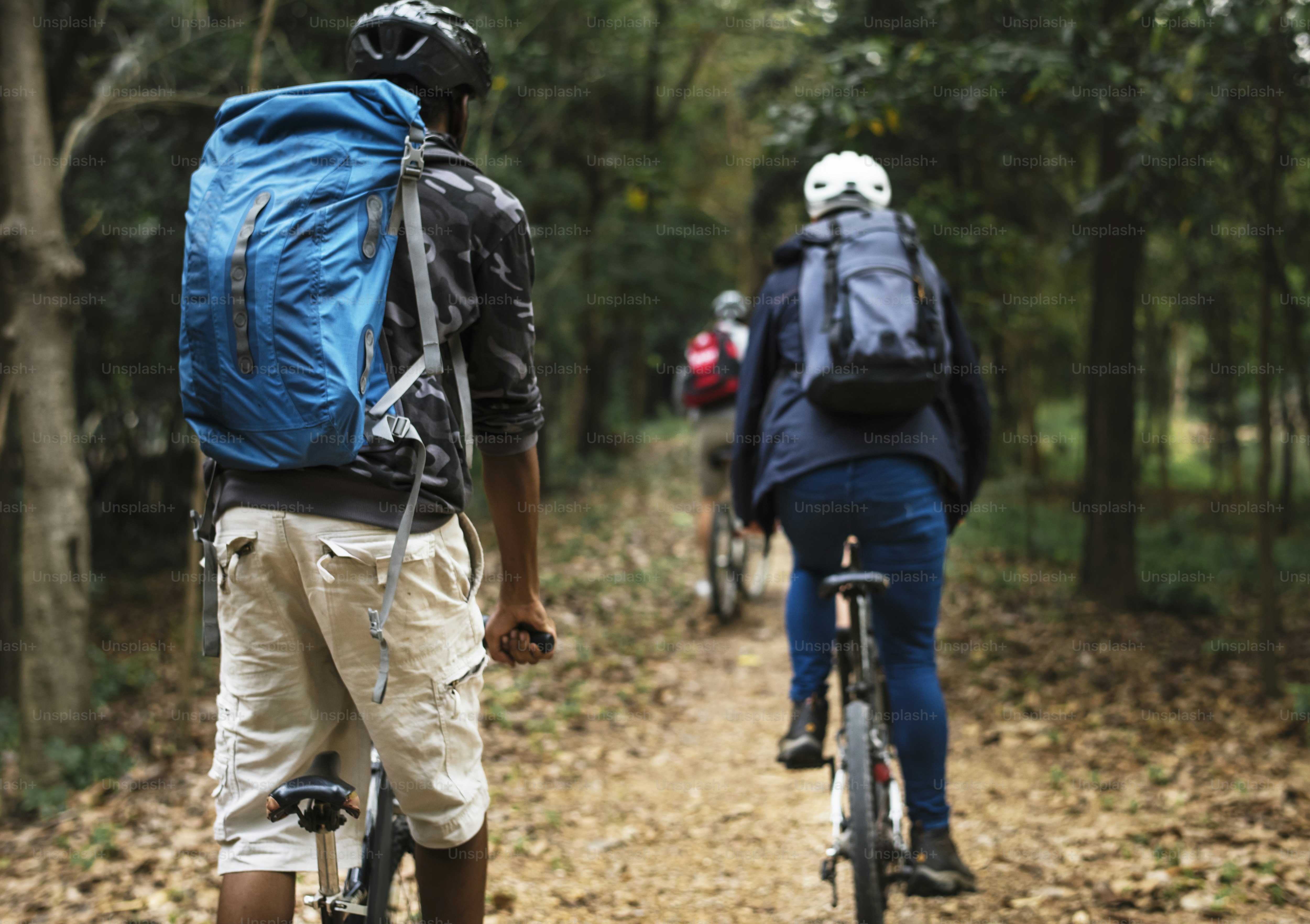 Group of friends ride mountain bike in the forest together