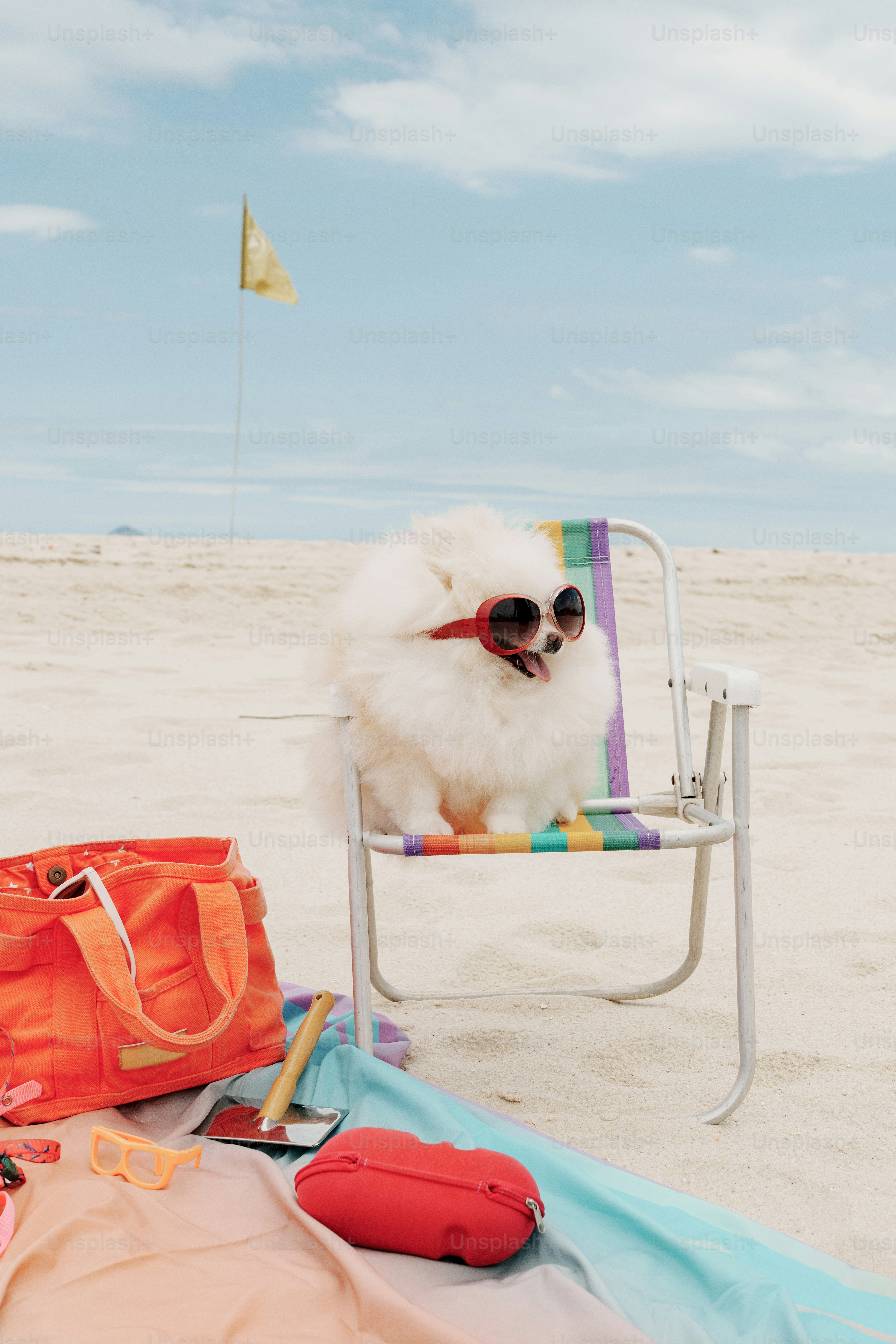 Perro esponjoso con gafas de sol en una tumbona de playa