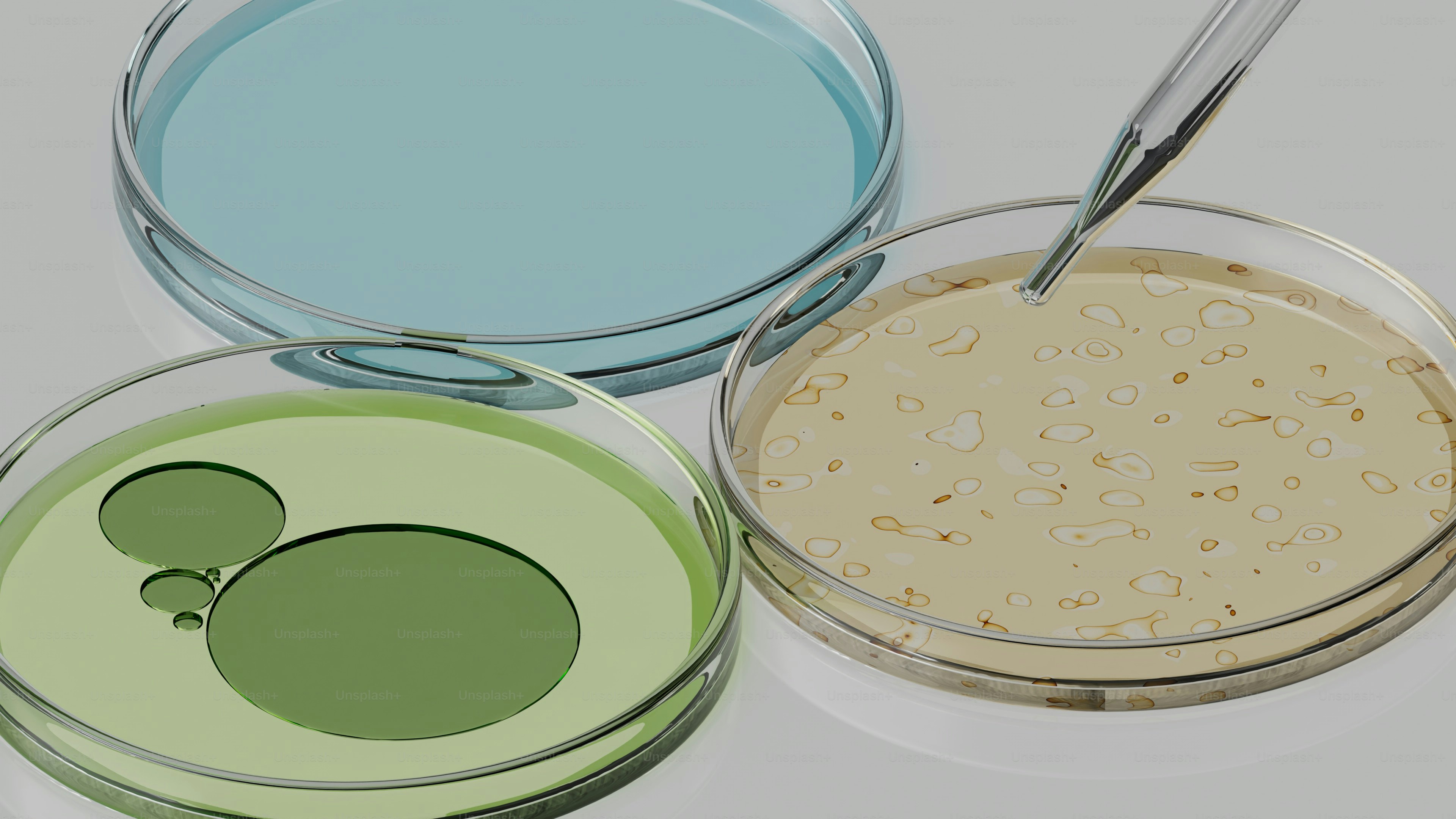 Three petri dishes with colorful liquids and a pipette.