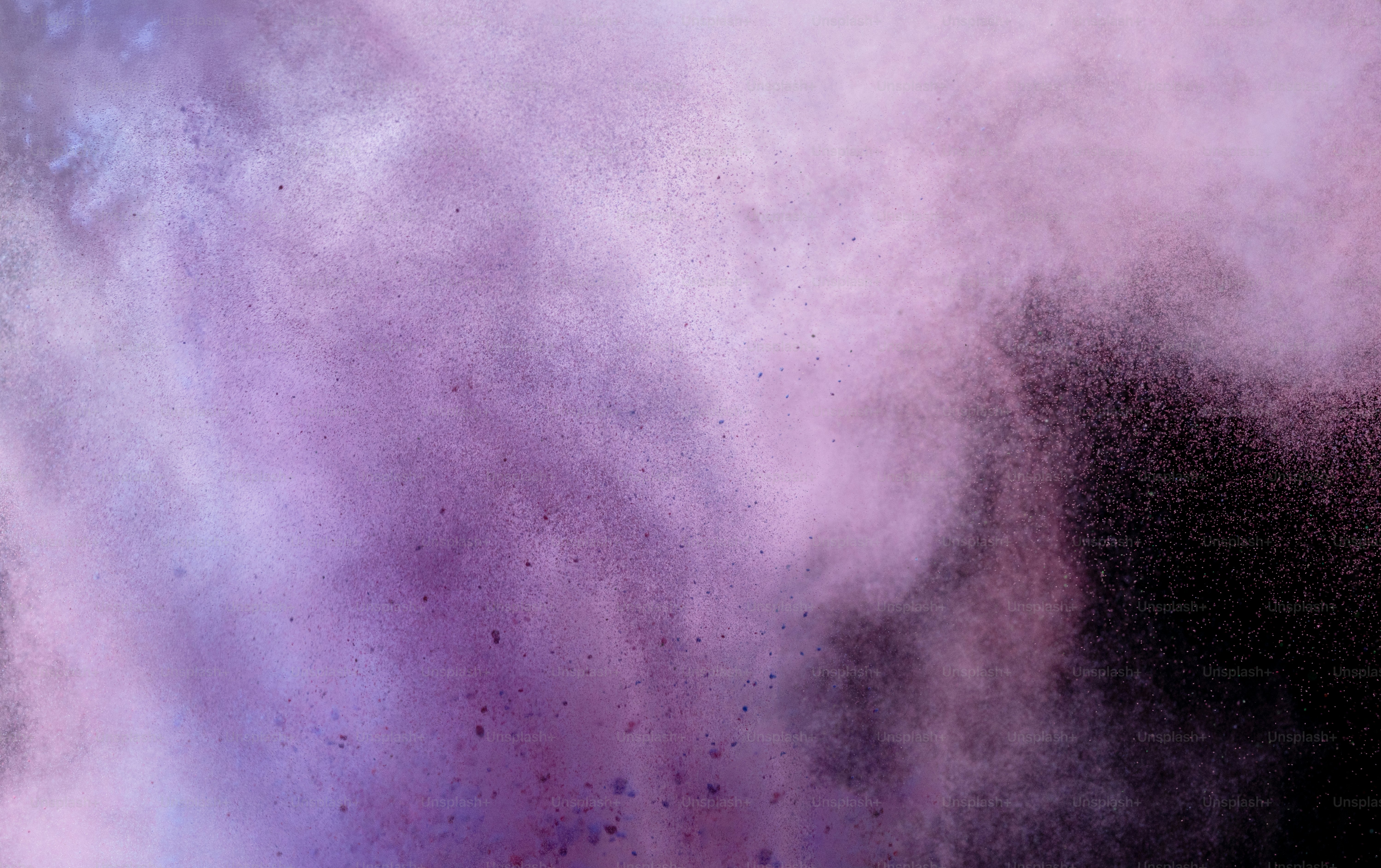 Pink and purple powder exploding against black background photo – Holi ...