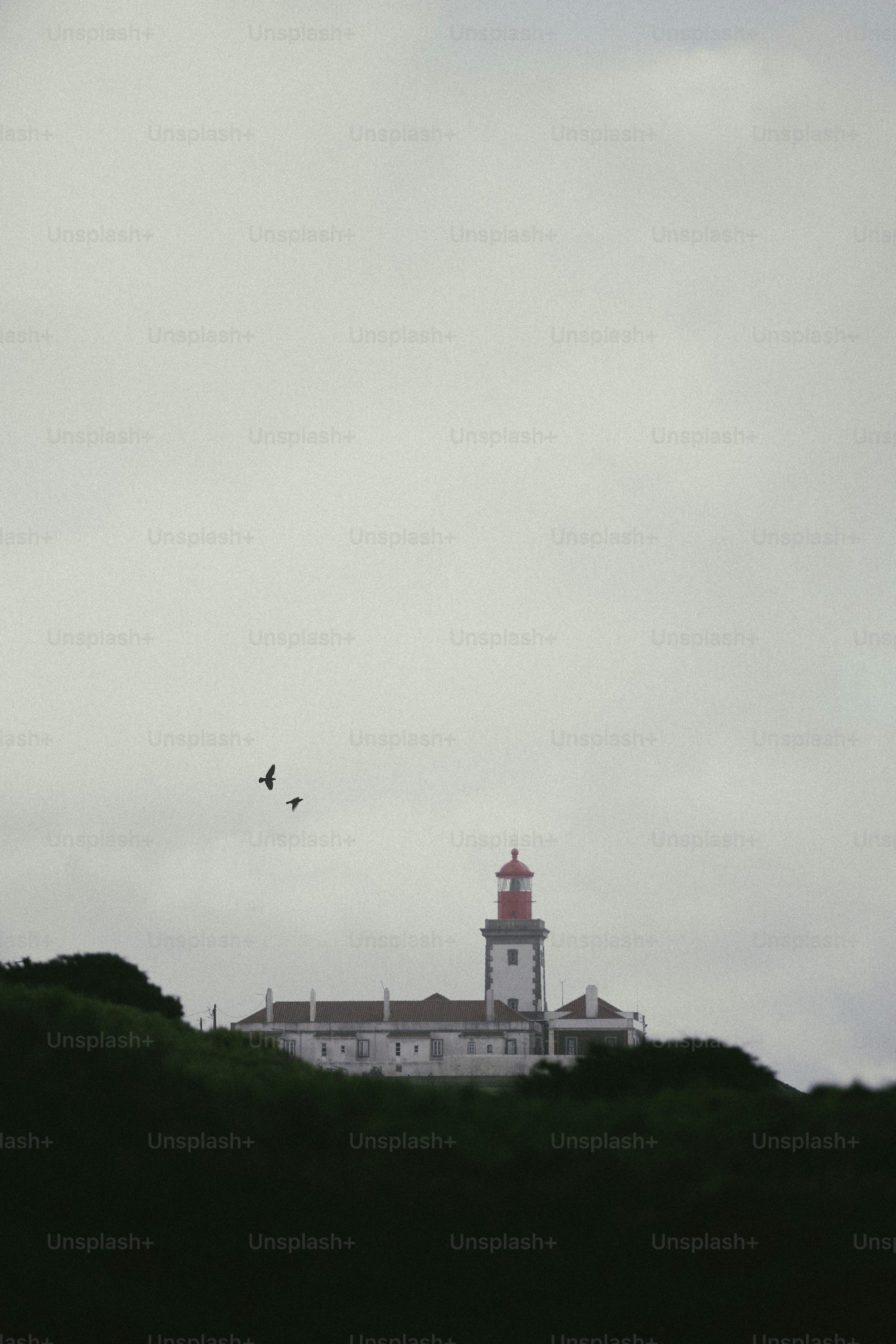 Lighthouse on a hill with birds flying