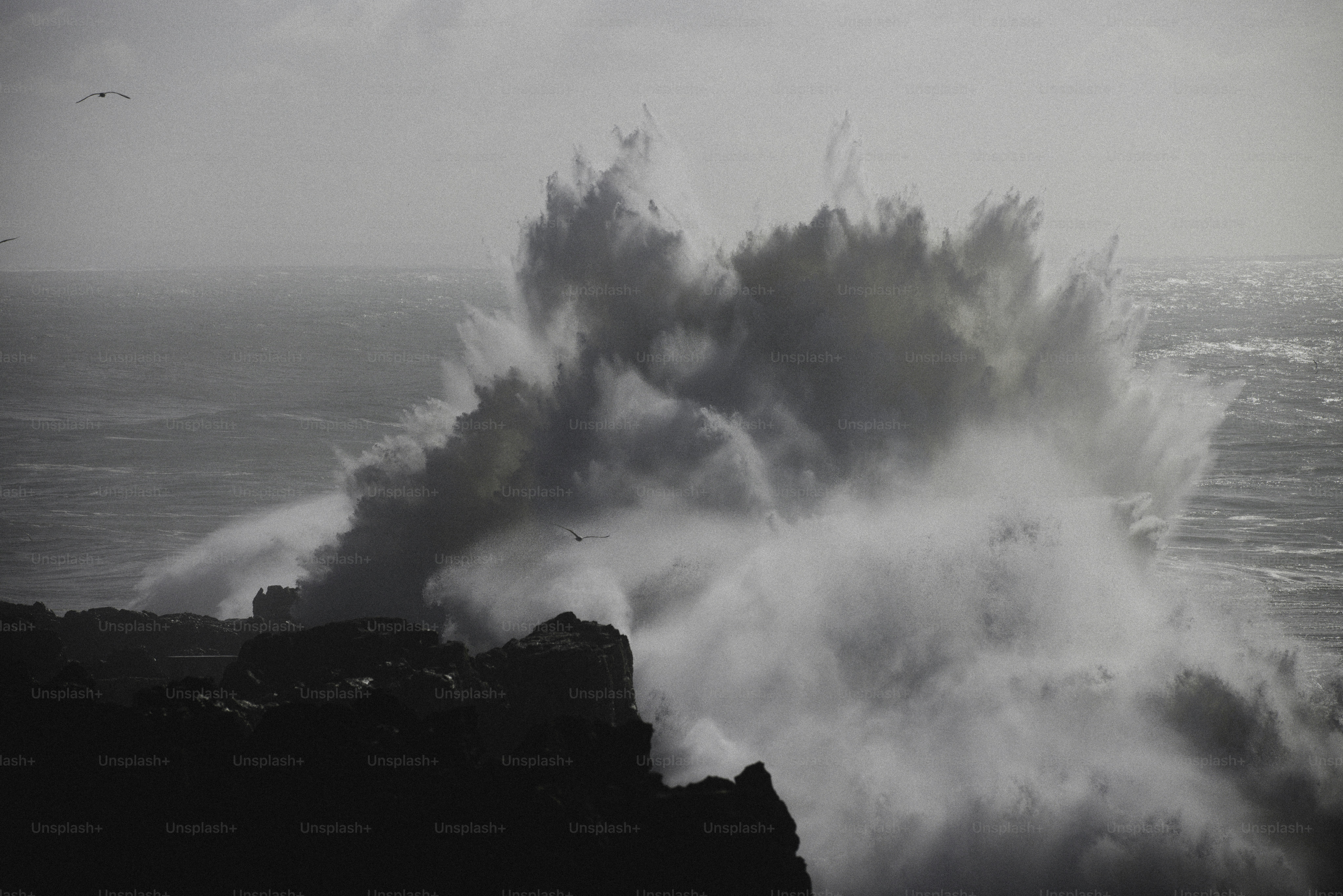 Powerful ocean wave crashing against rocky shore