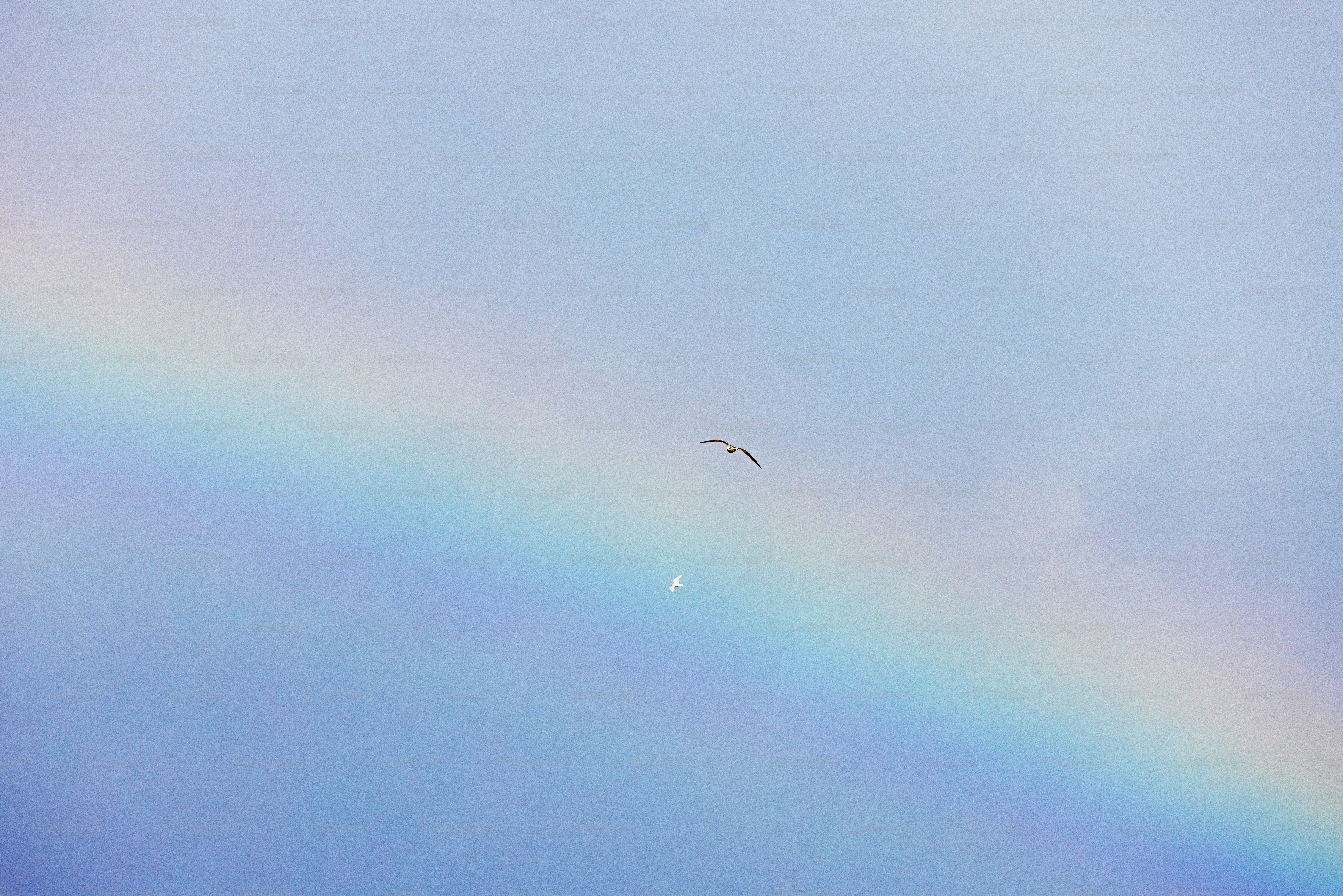 Ein Regenbogen zieht sich über einen blassblauen Himmel.