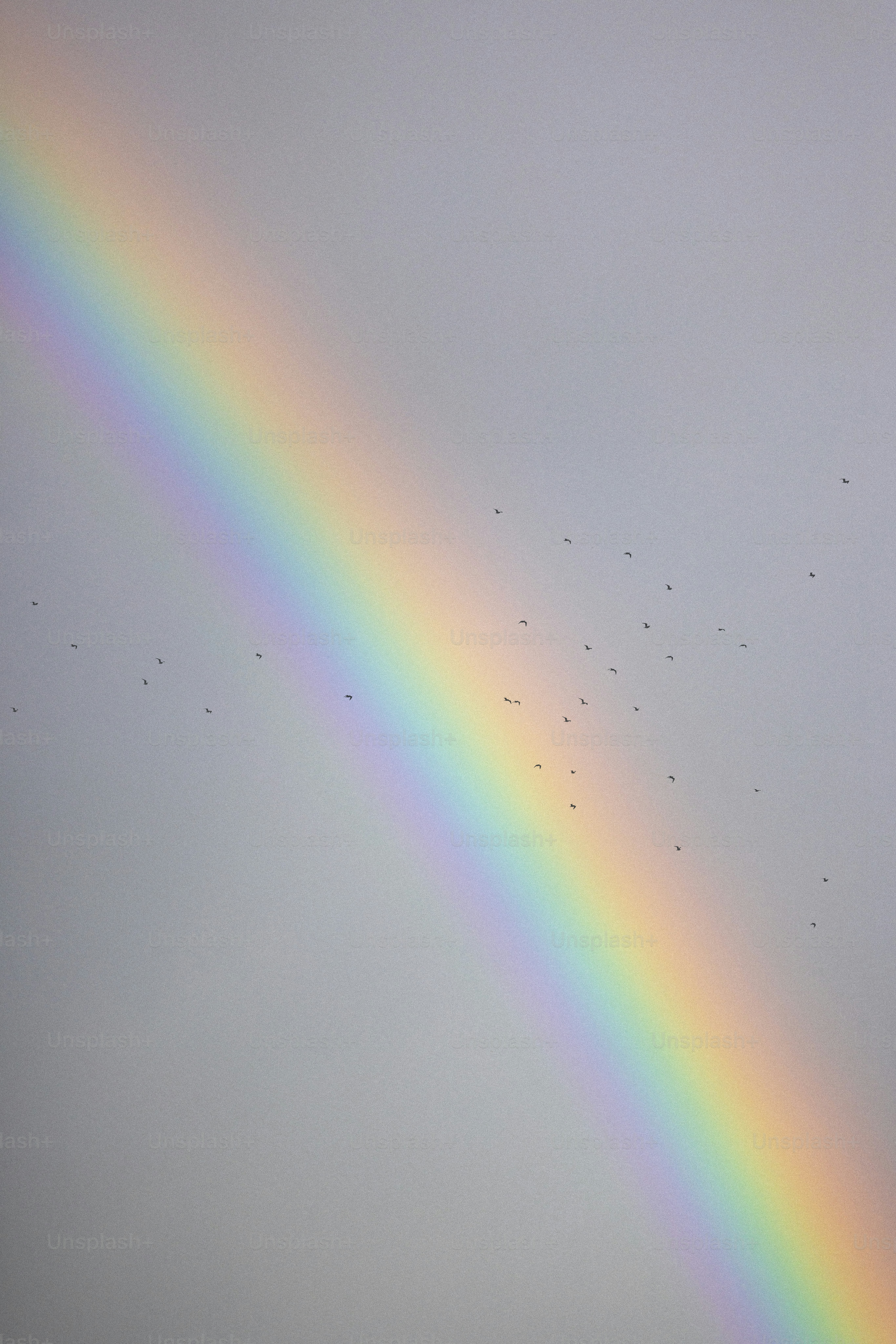 Ein lebendiger Regenbogen zieht sich über einen wolkigen Himmel.