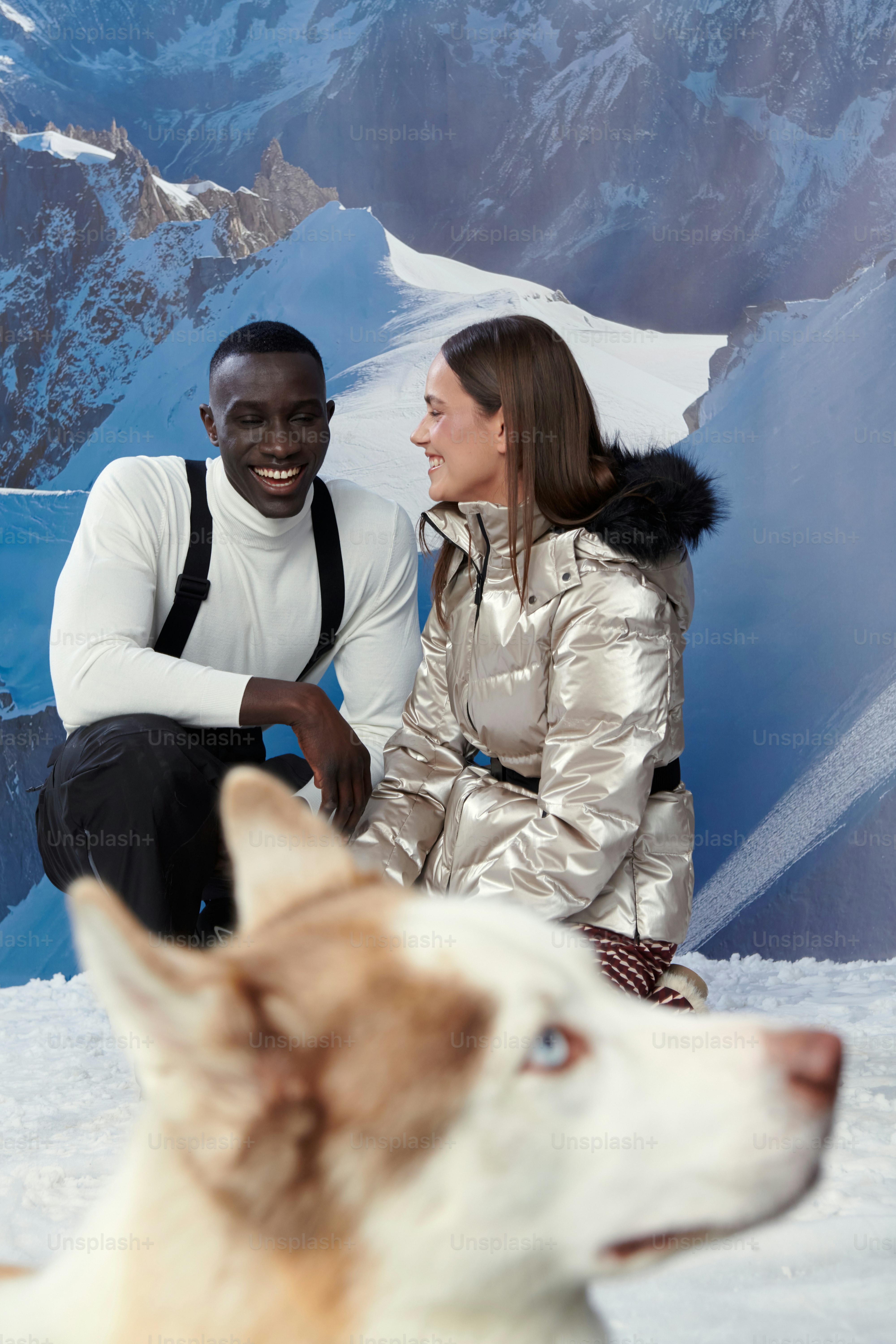 What to Look for in a Premium Dog Boarding Resort
