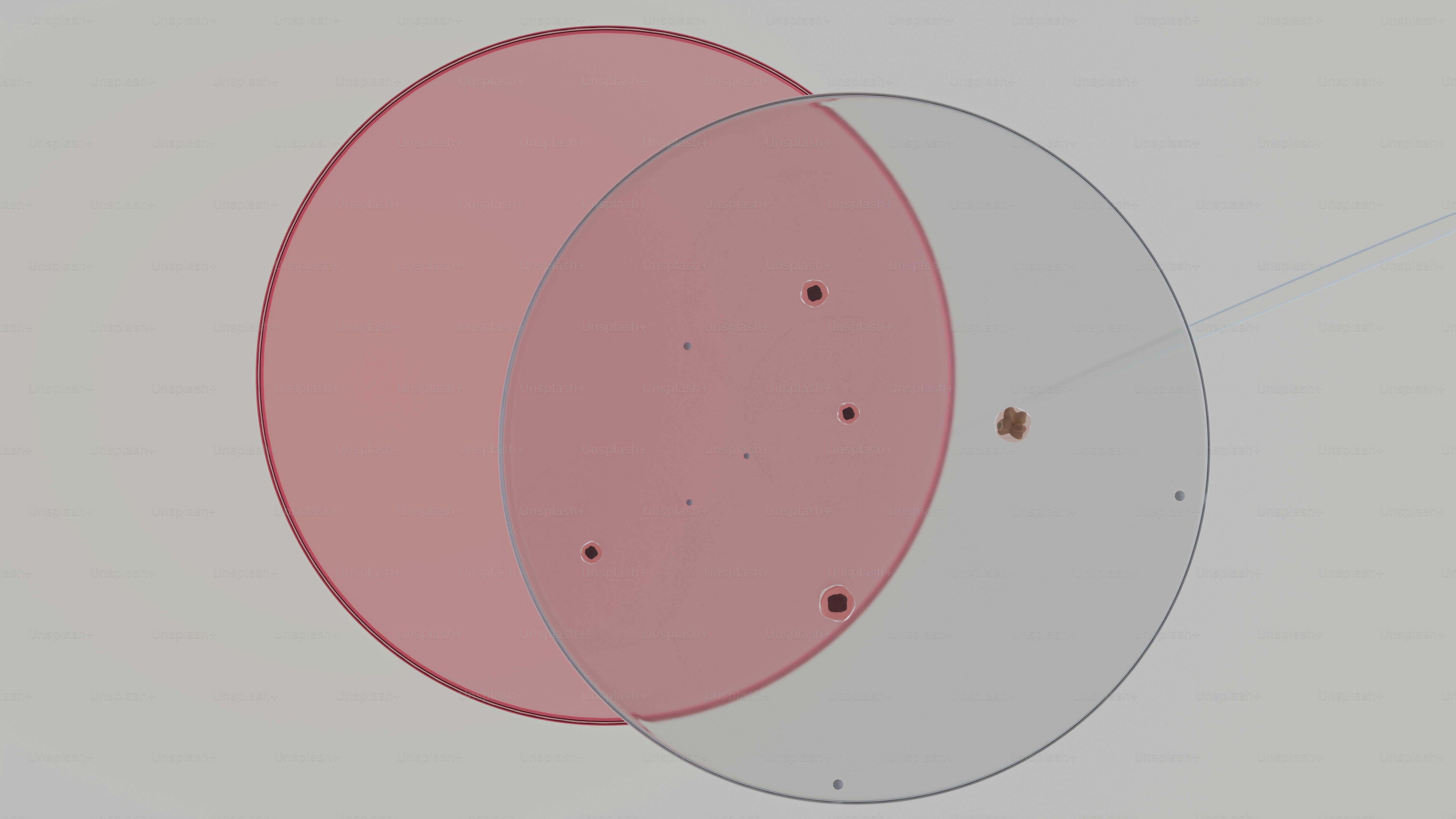 Due cerchi traslucidi sovrapposti con punti scuri