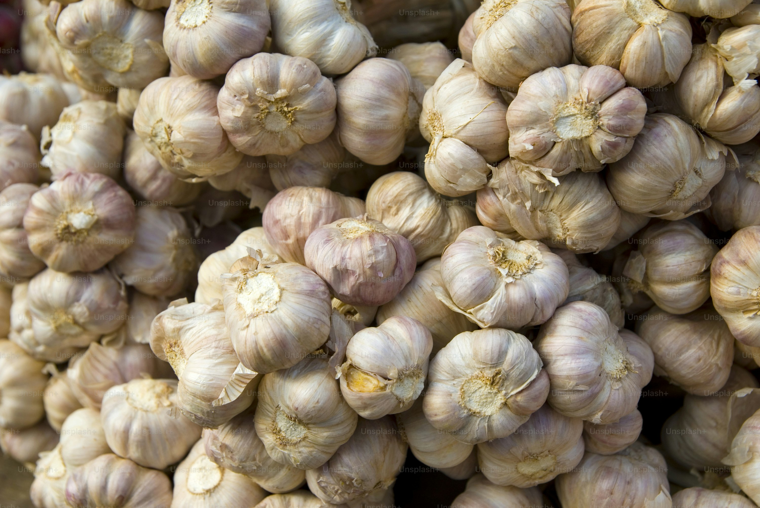 Garlic at market