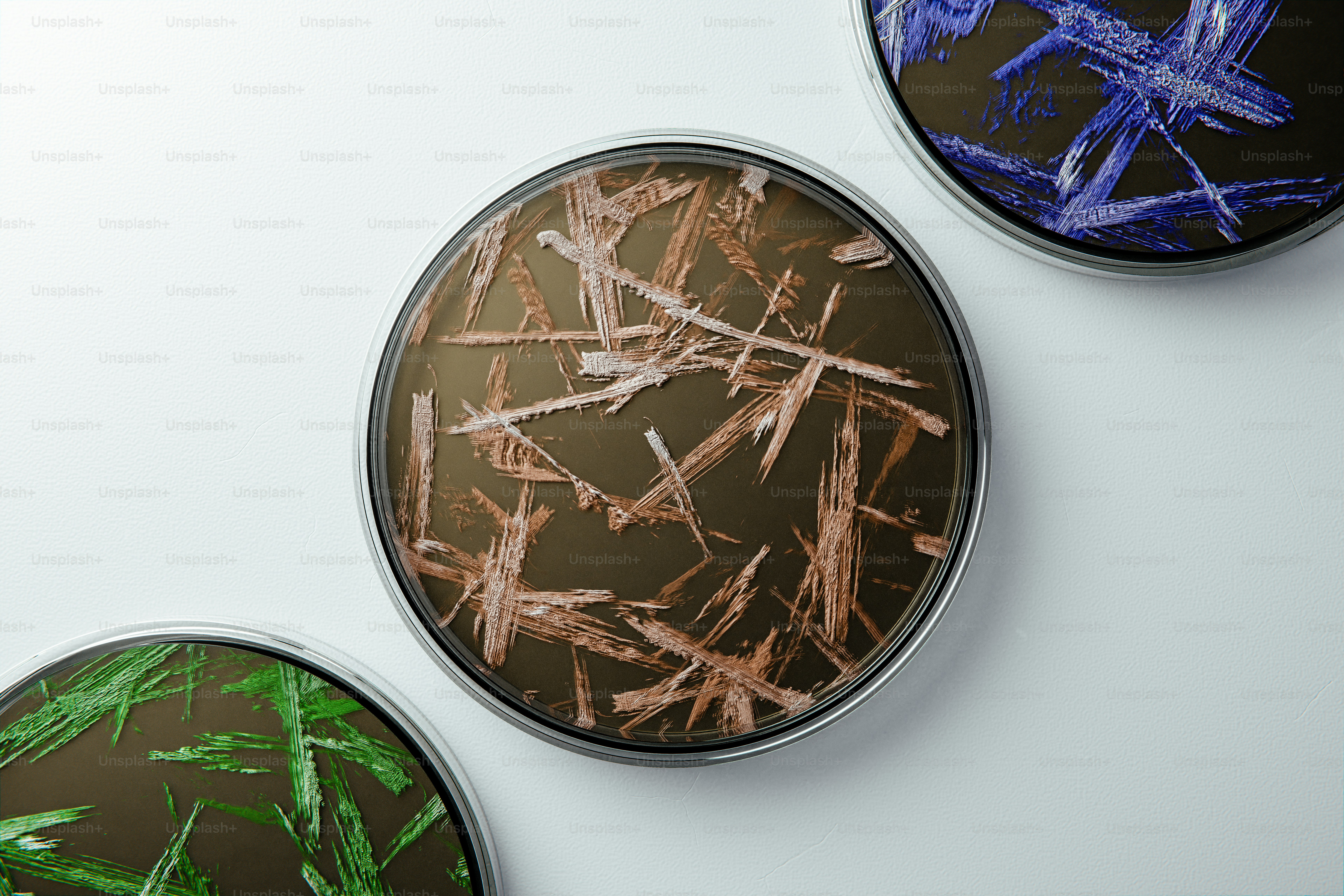 Three petri dishes with colorful crystalline structures.