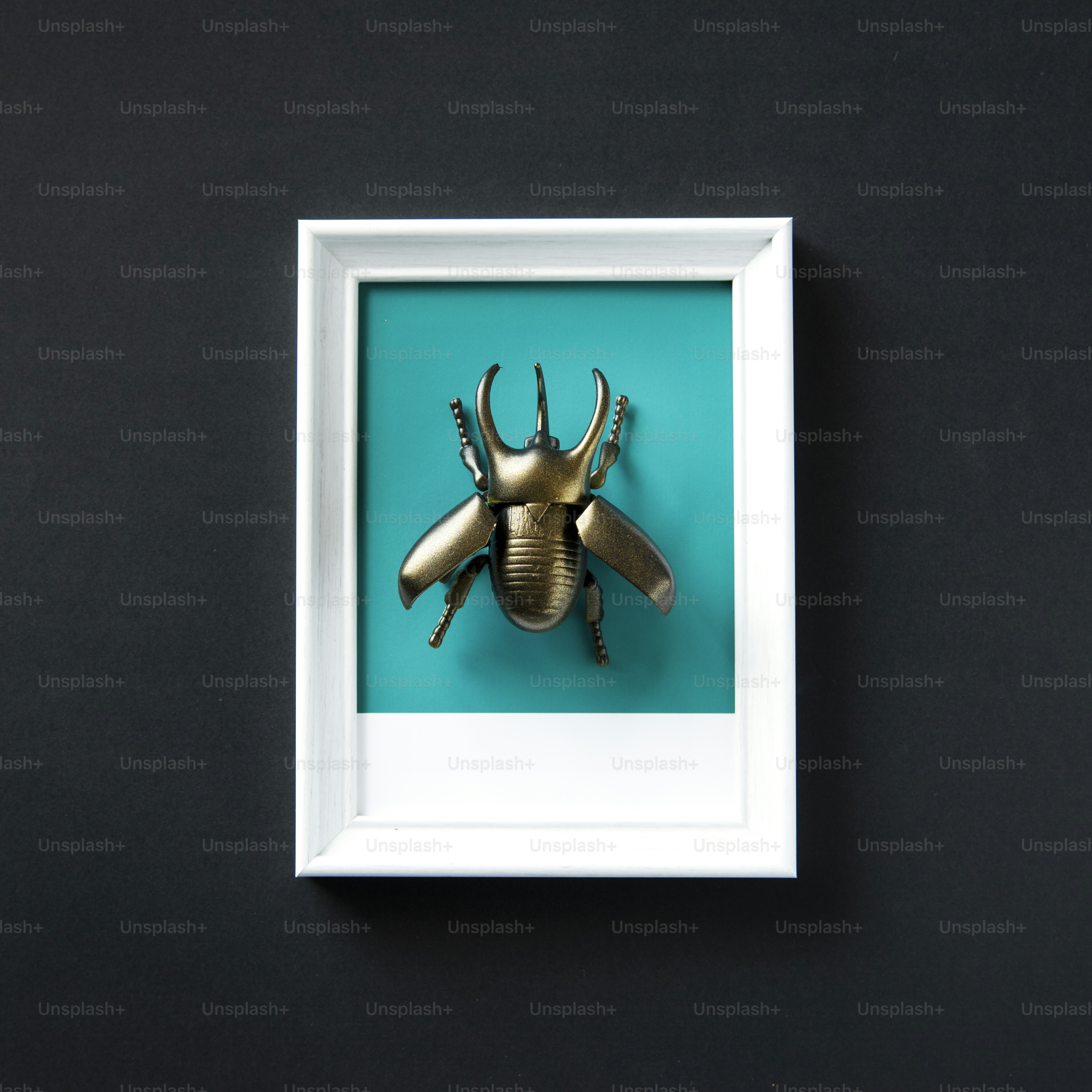 Insektenspielzeug des geflügelten Käfers