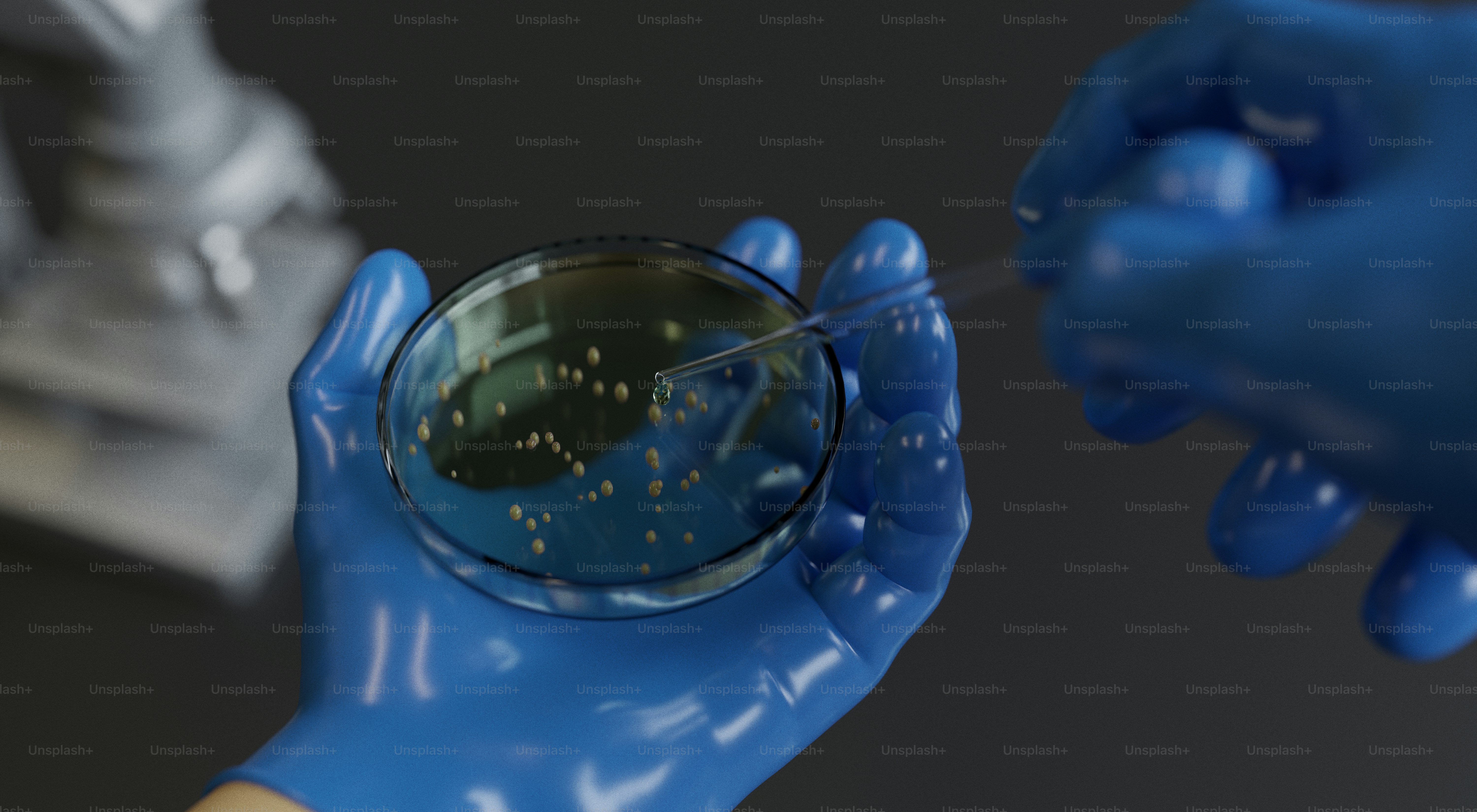 Dropper adding red liquid to petri dish photo – Science Image on Unsplash