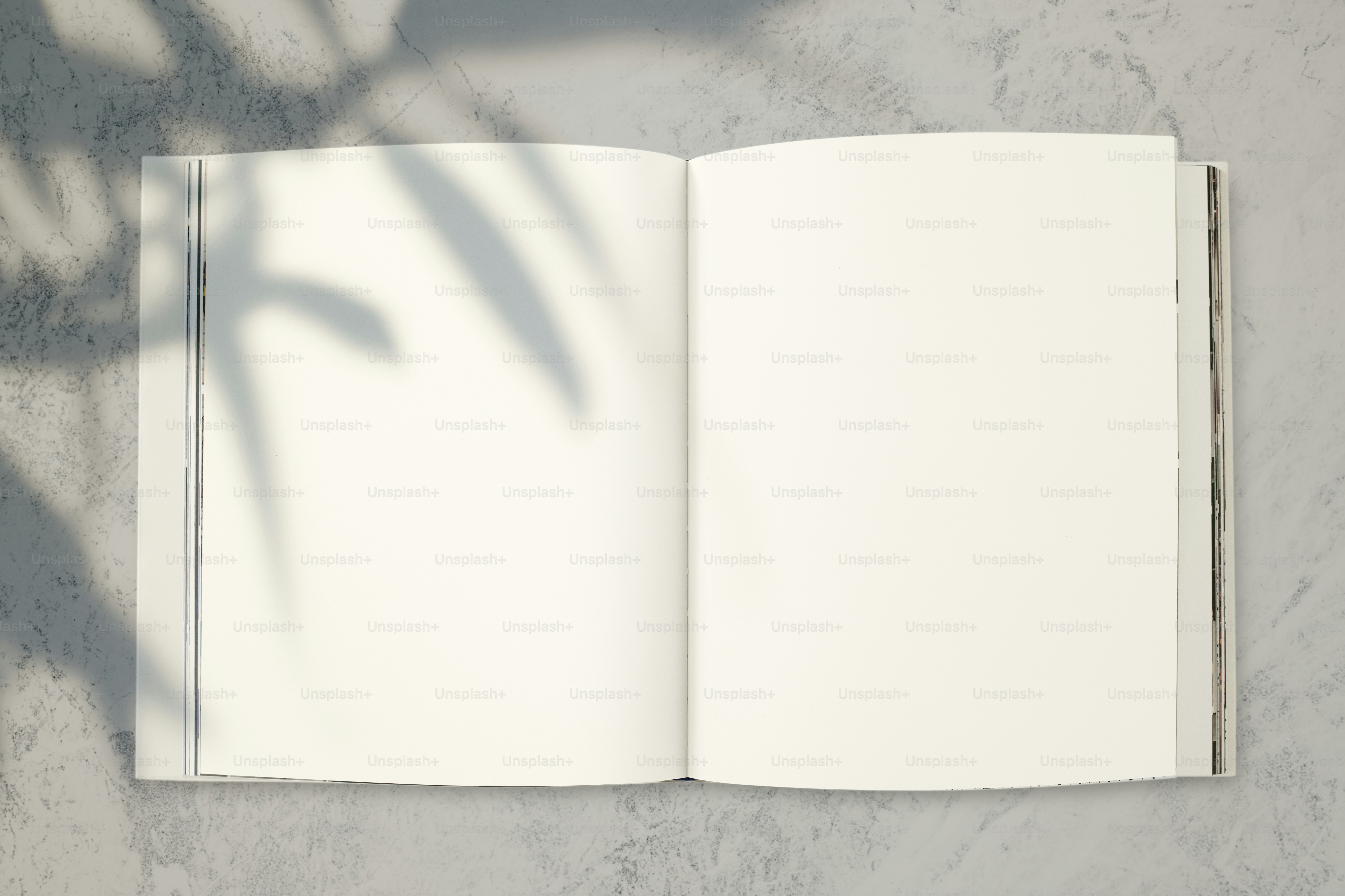 Maqueta de revista con espacio en blanco