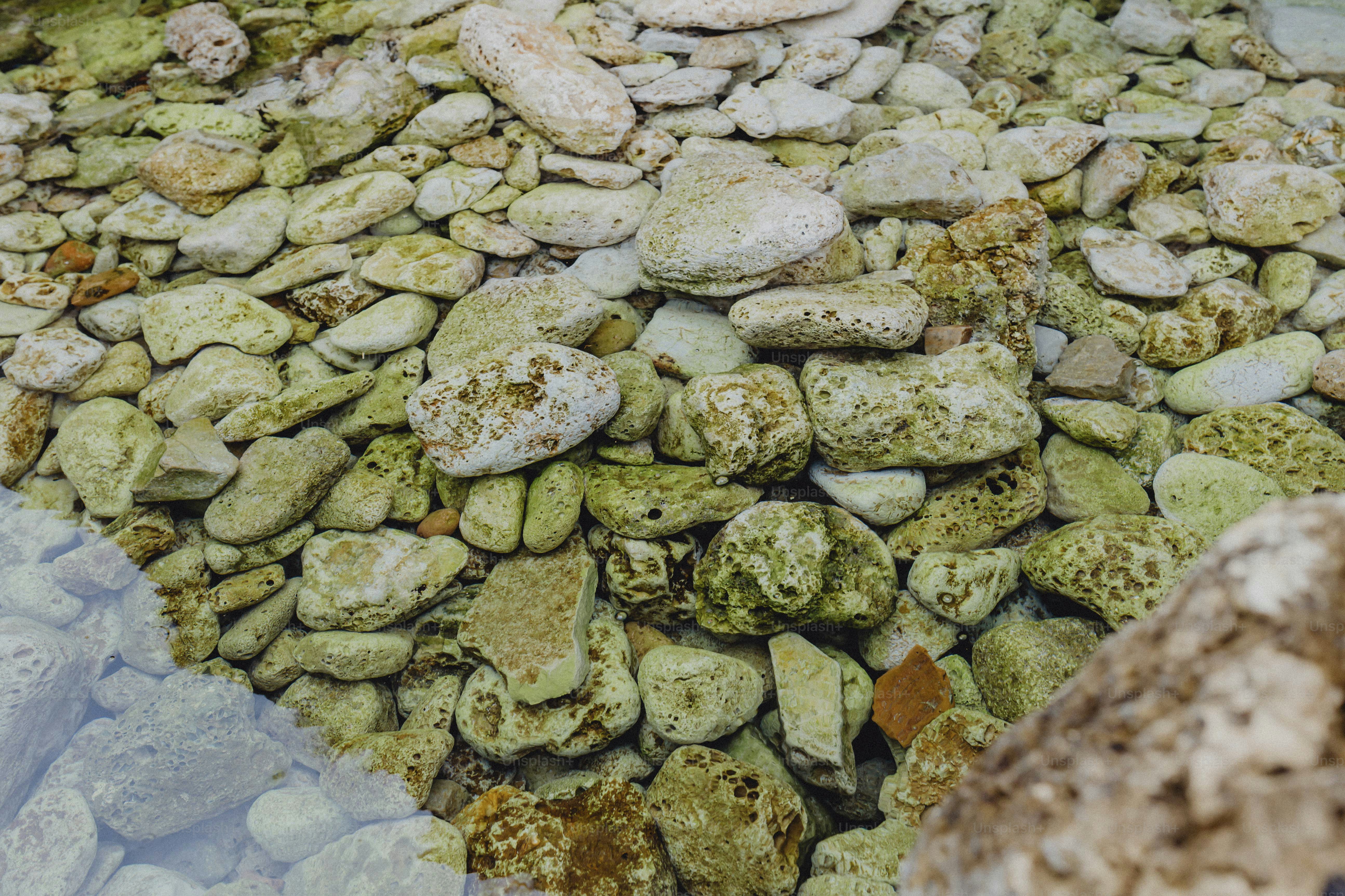 Pebbles under clear still waters