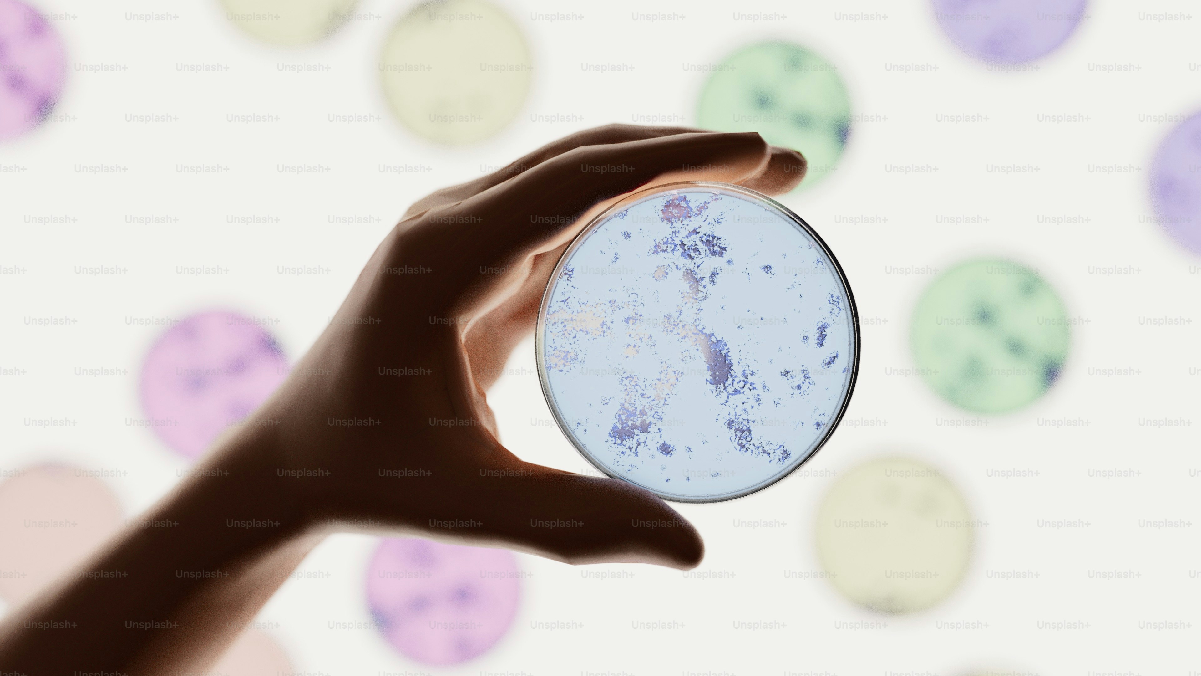 Hand holding petri dish with colorful background