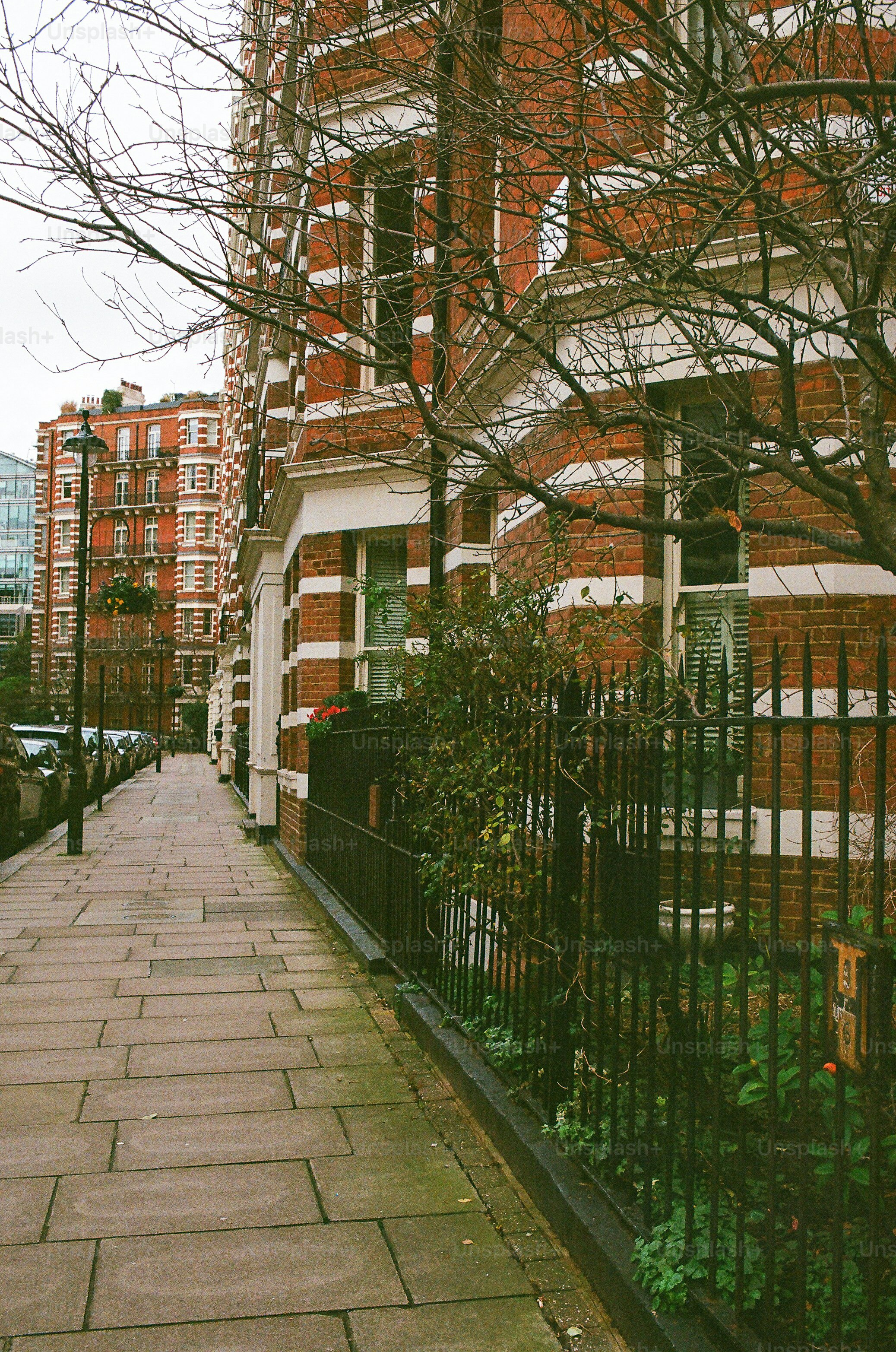 Brick building with white trim and bare trees