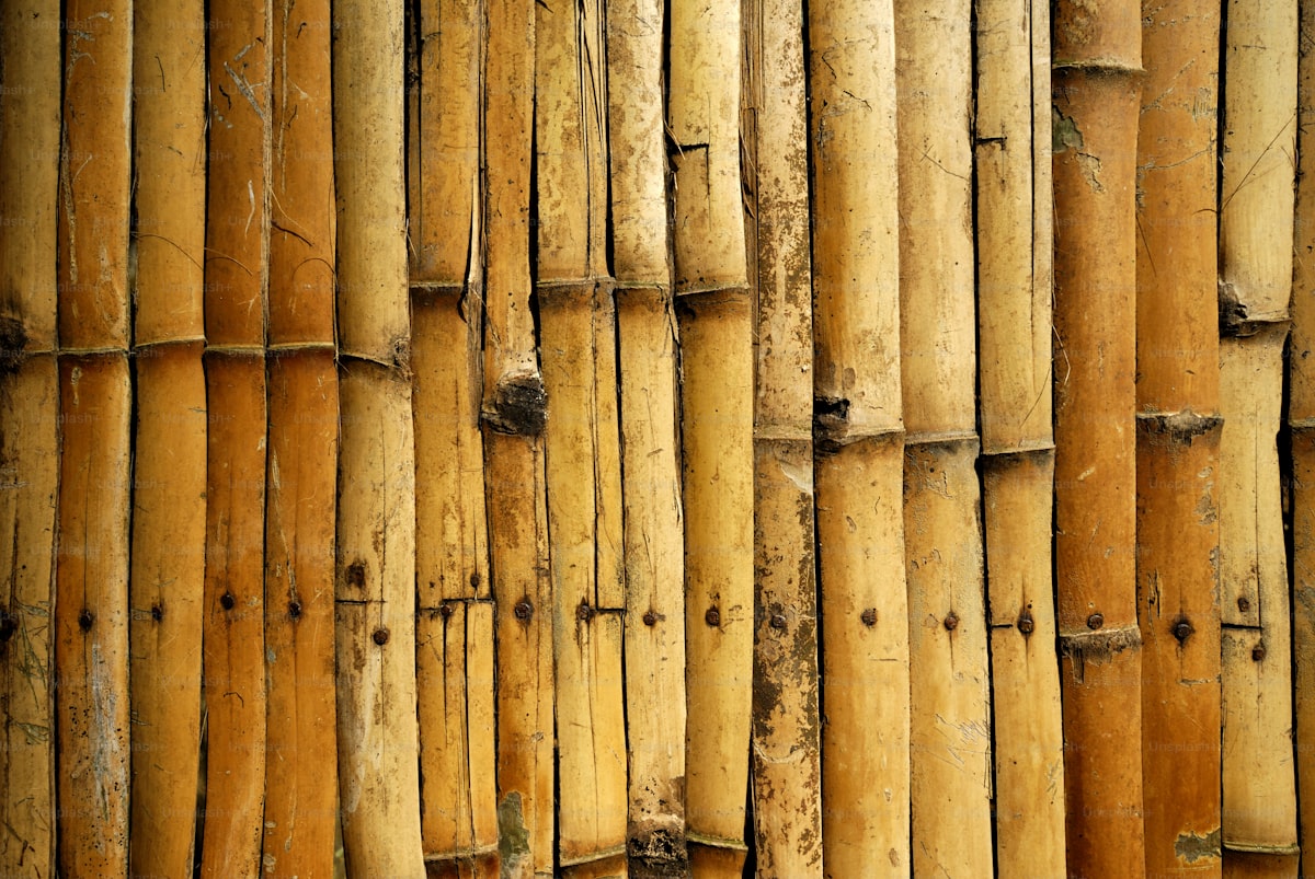 Materiais Sustentáveis Para Construir em Torres RS