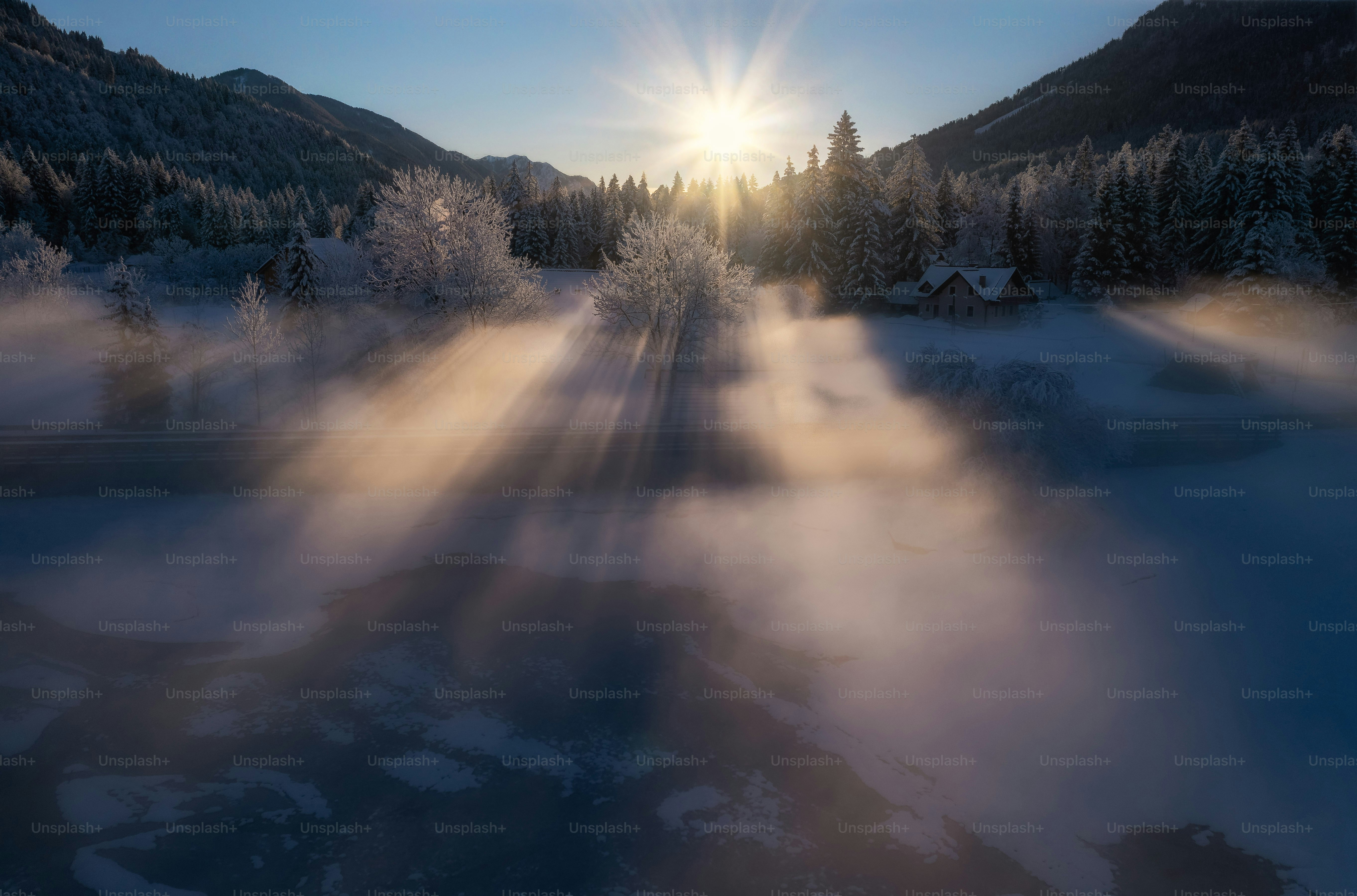 Sonnenstrahlen strömen bei Sonnenaufgang durch neblige Waldbäume.