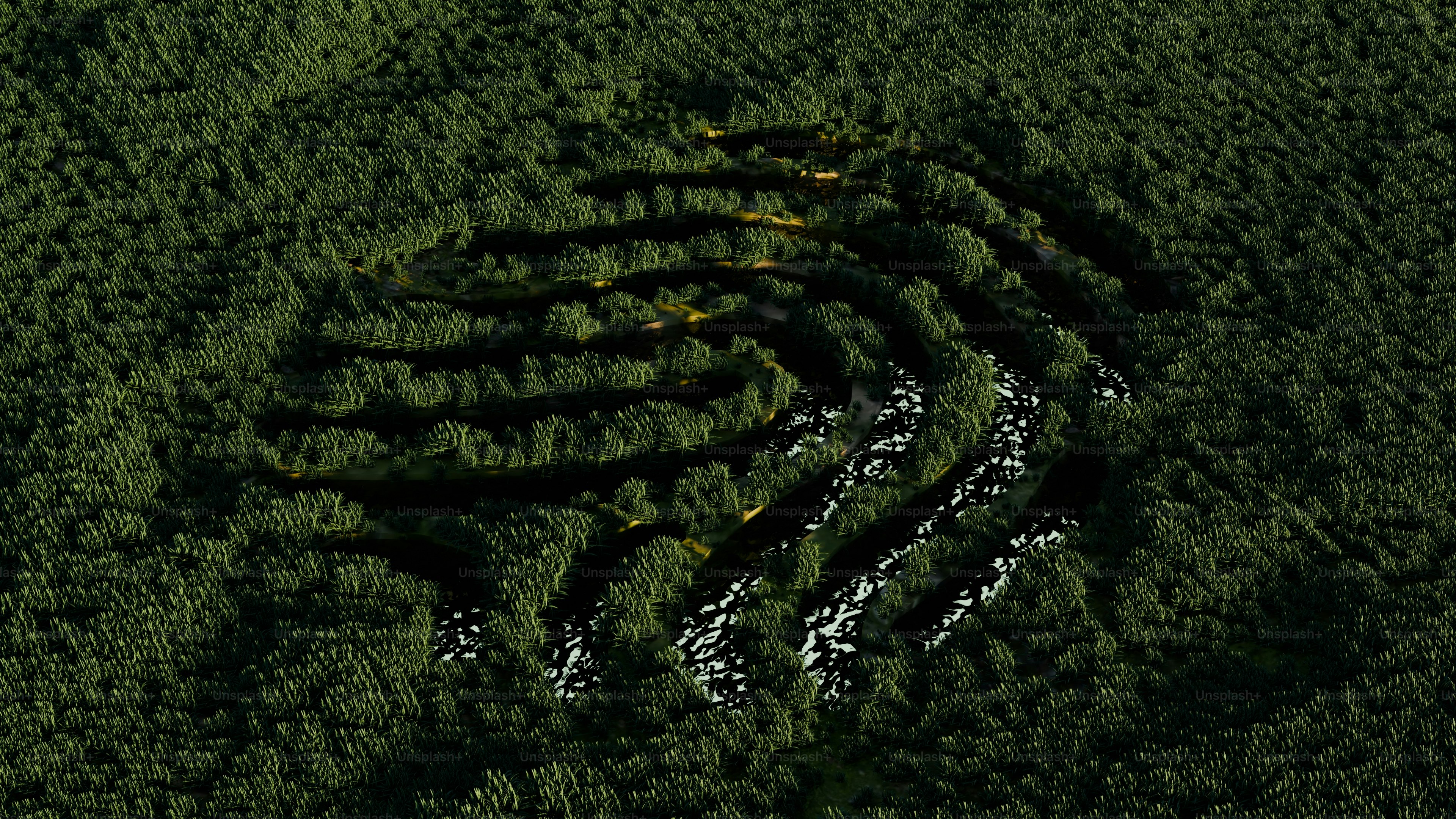 Vista aerea di una foresta con un motivo di impronte digitali