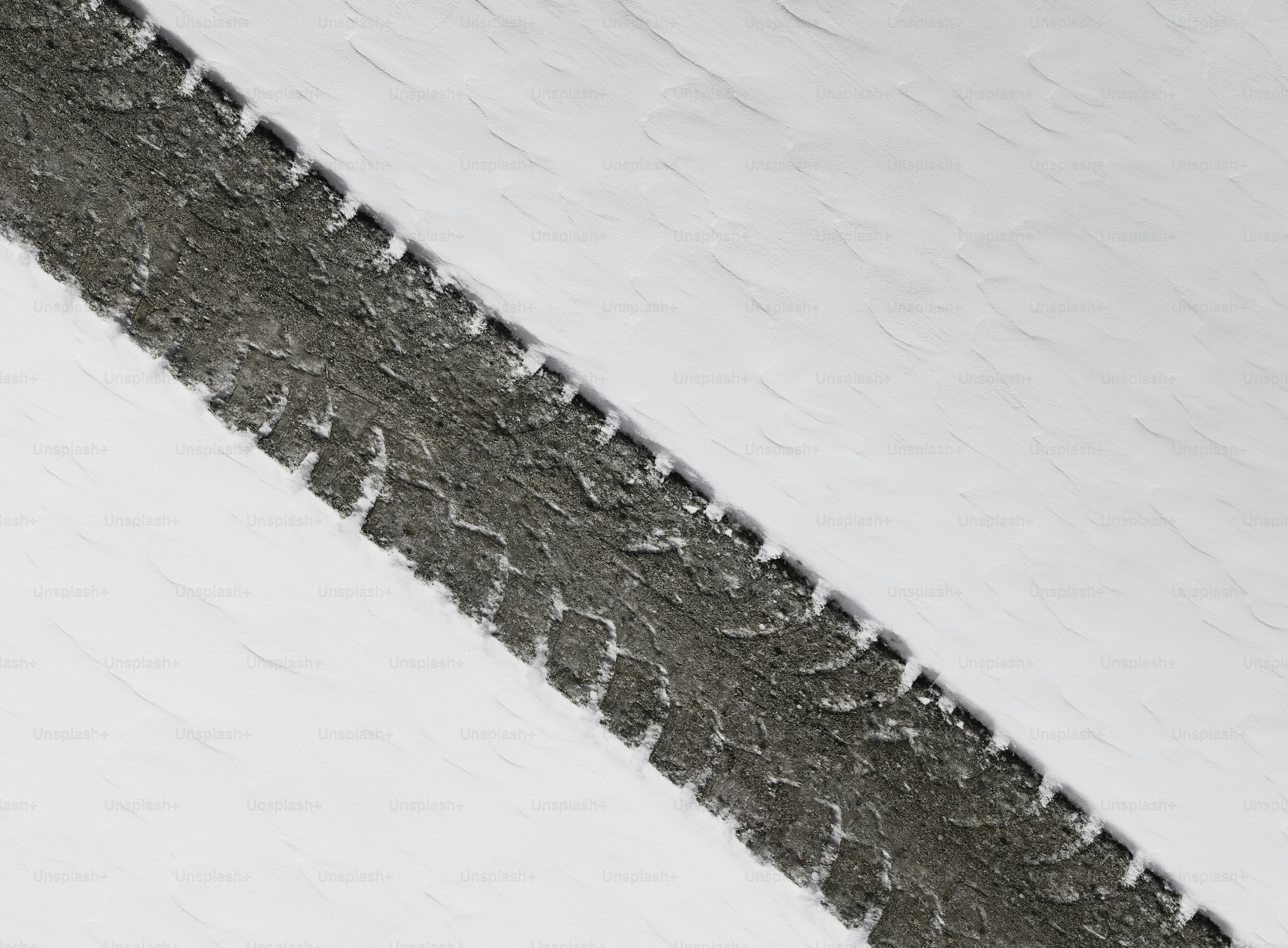 Tire tracks in fresh snow