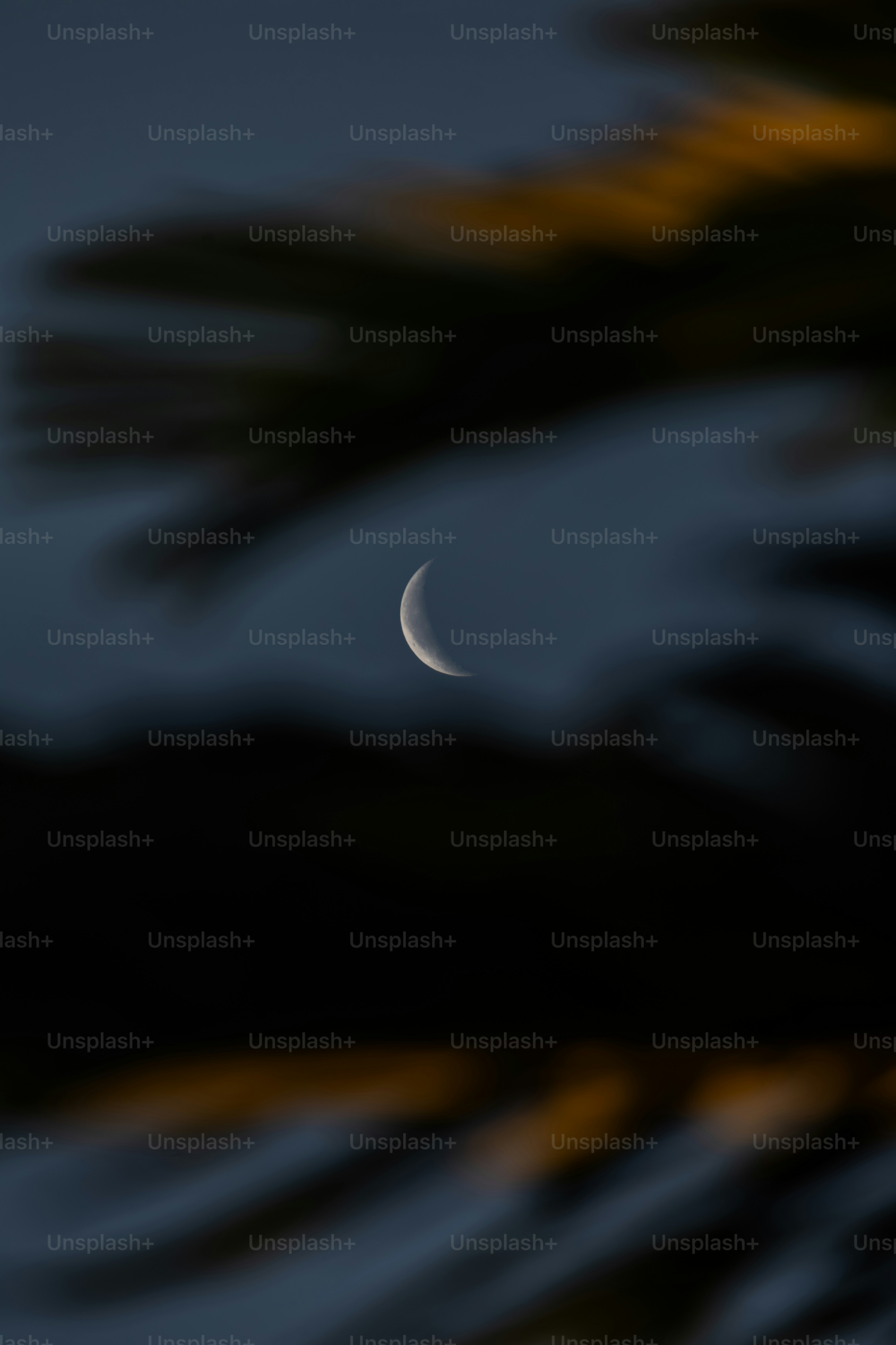 Crescent moon visible through dark foliage at dusk.
